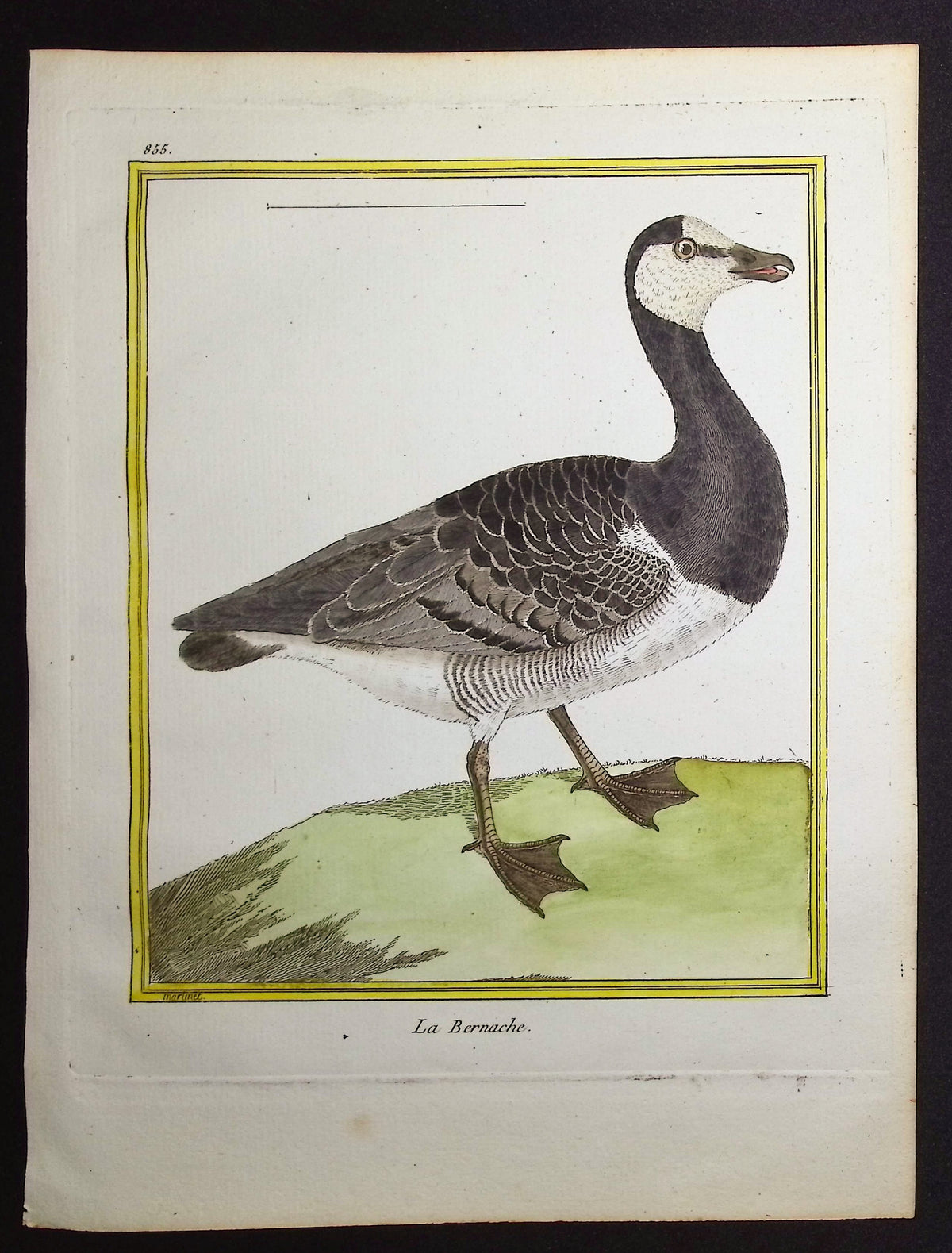 Goose