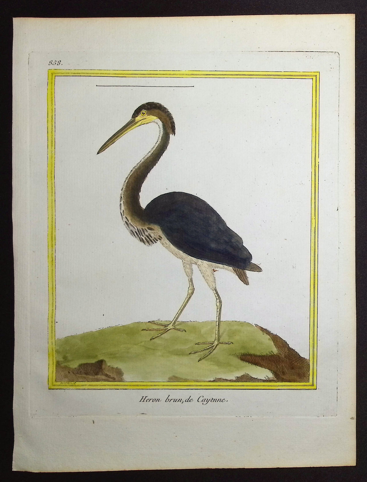 Heron