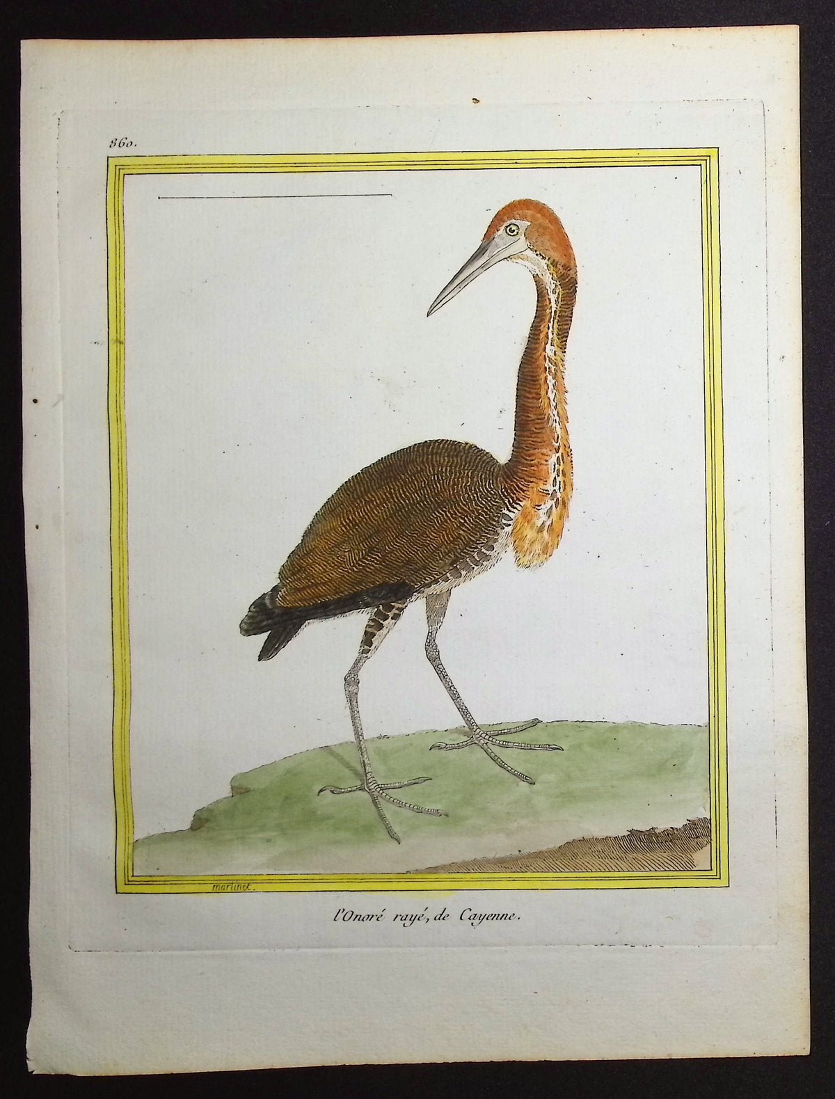 Heron