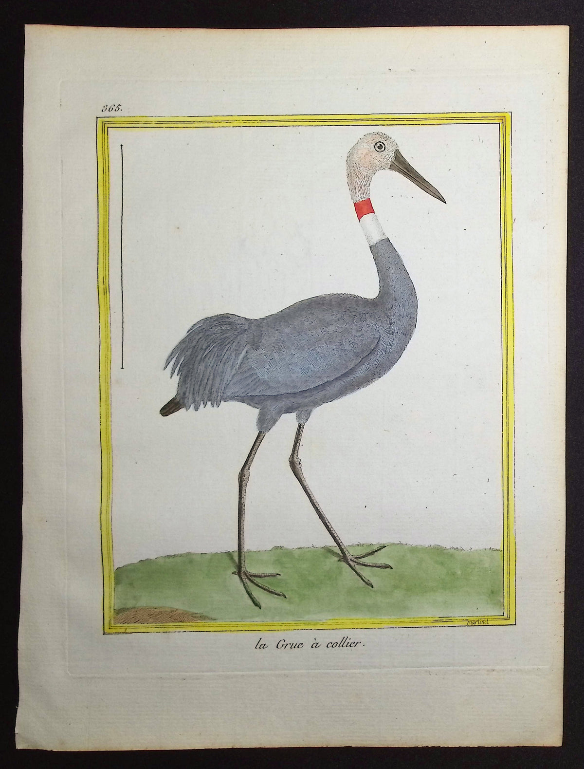 Crane