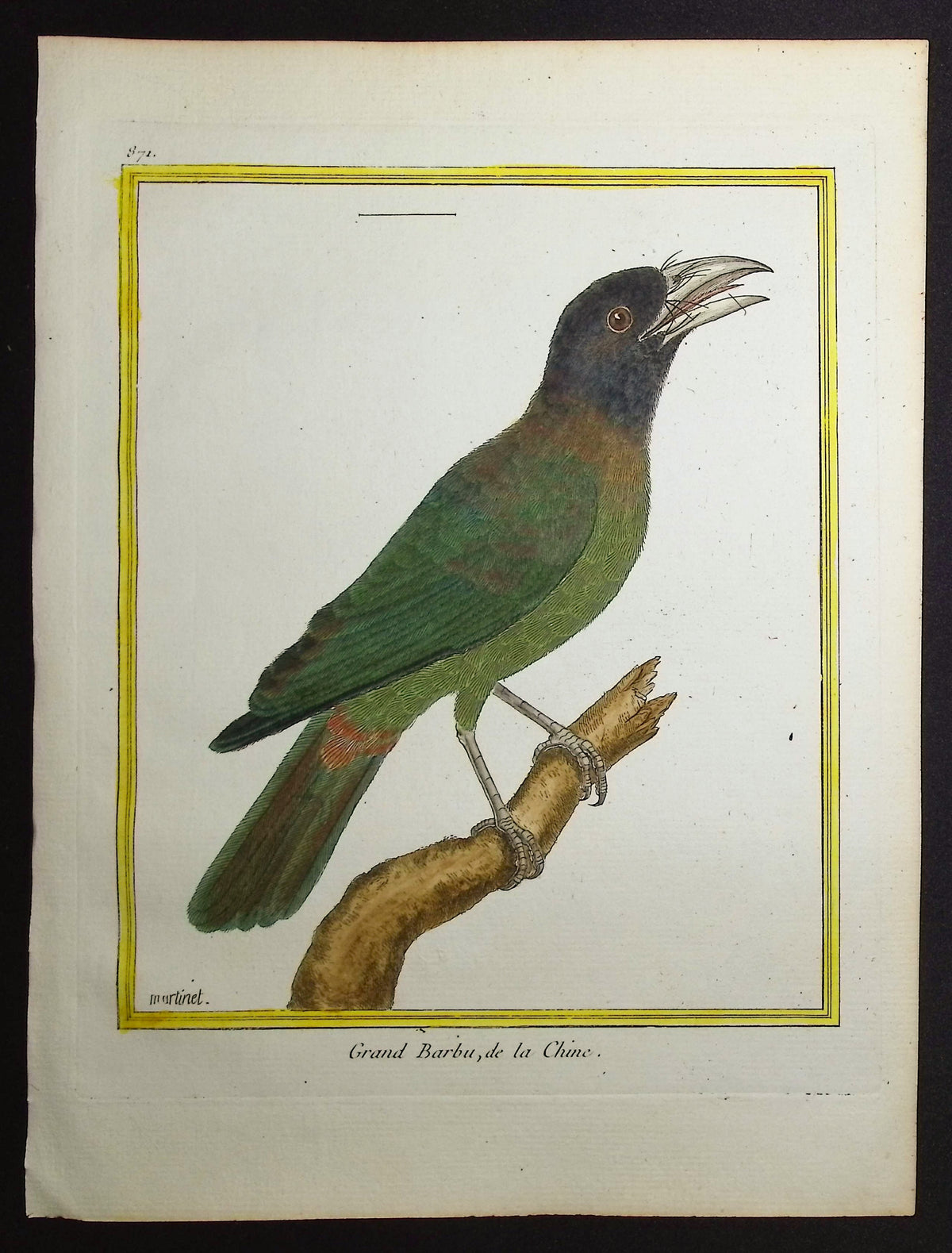 Barbet
