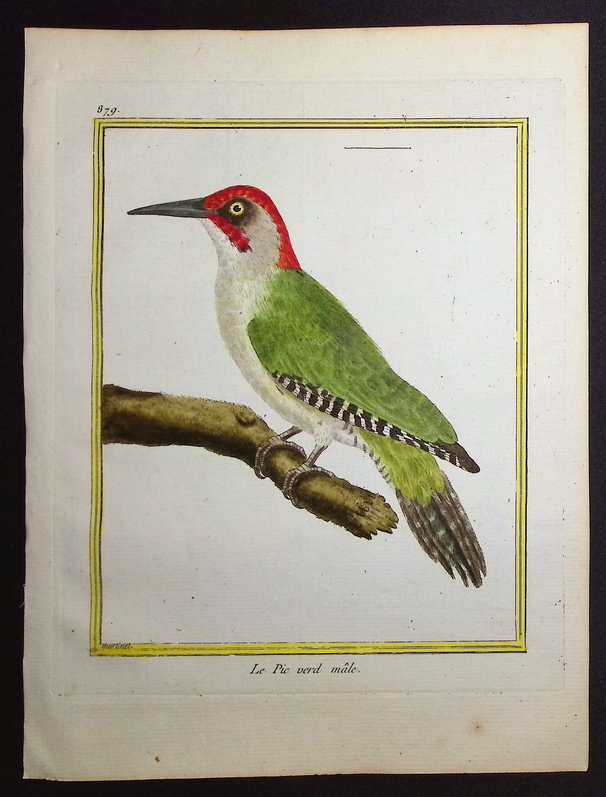 Woodpecker