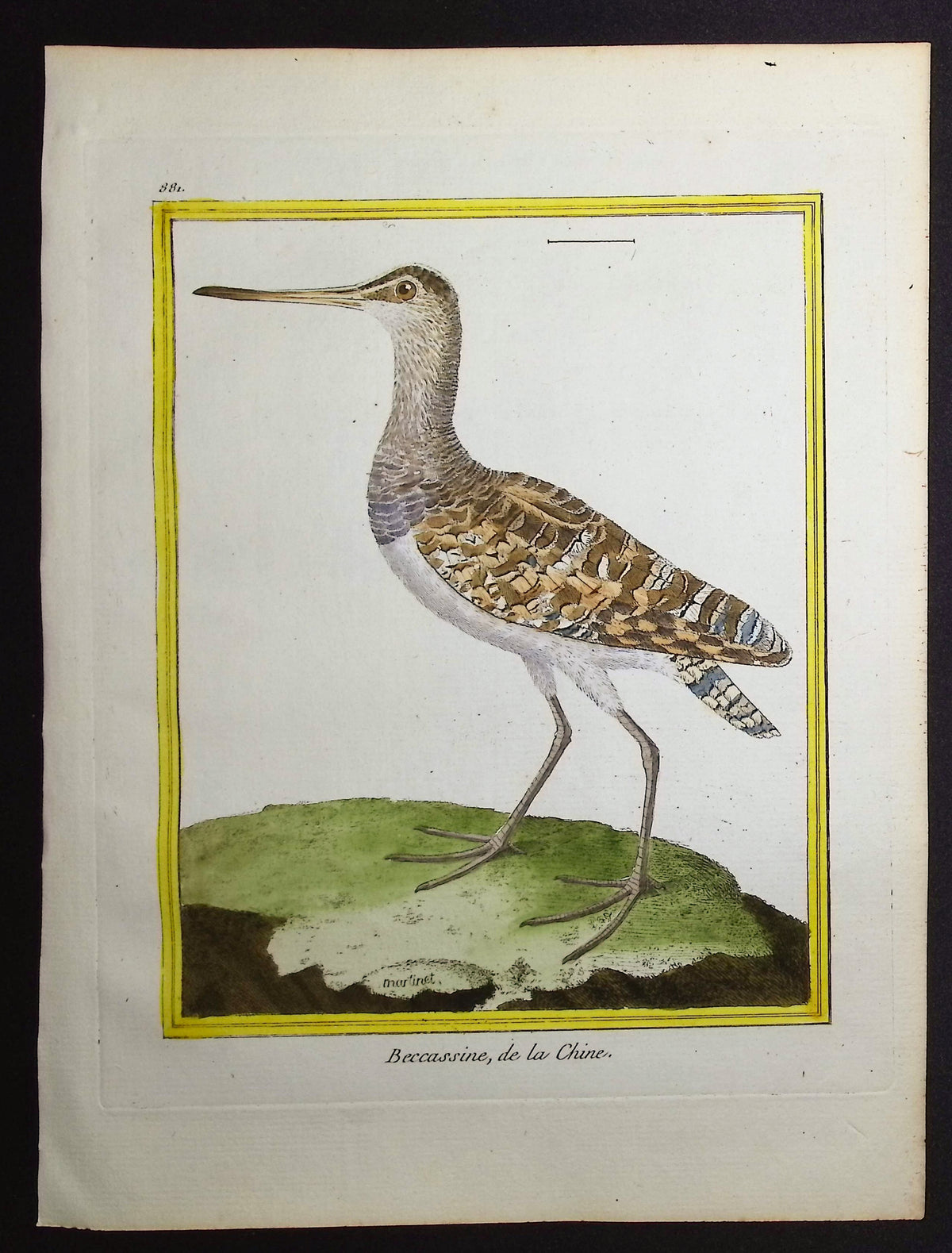 Sandpiper