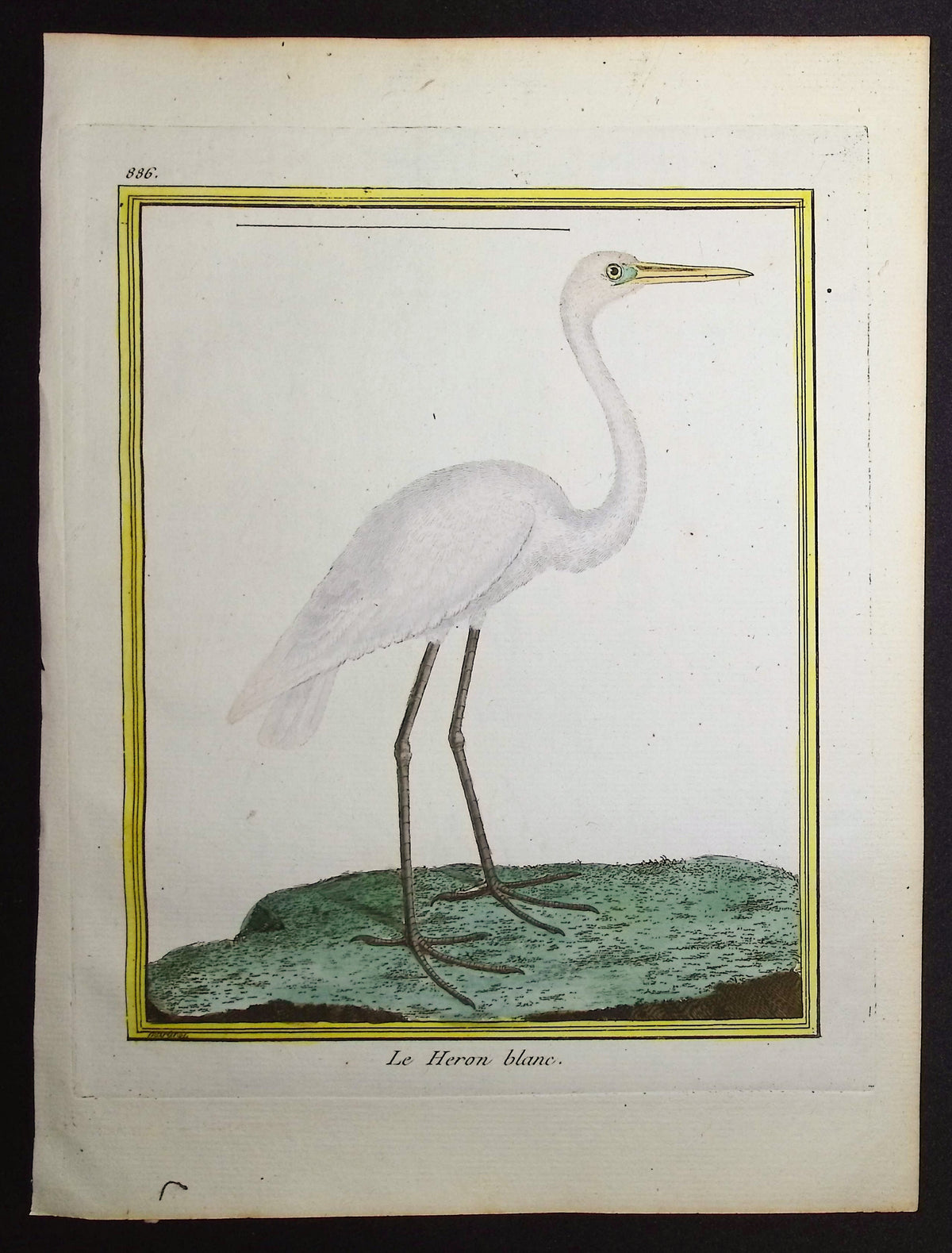 Heron