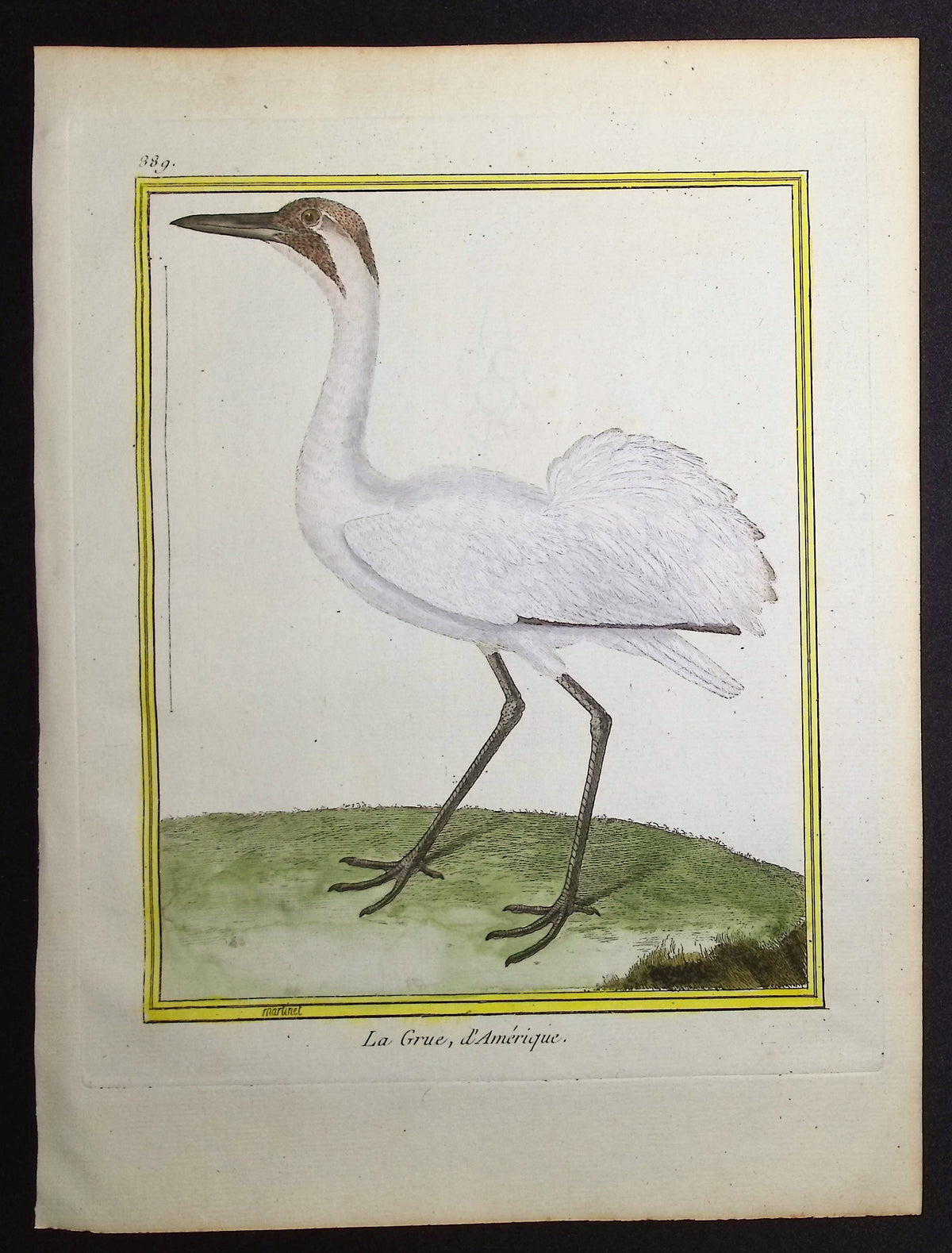 Crane