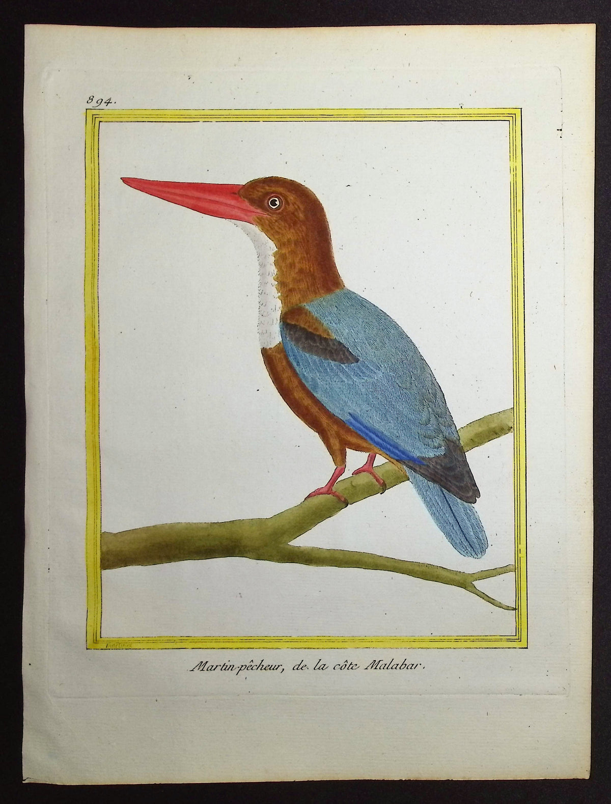 Kingfisher