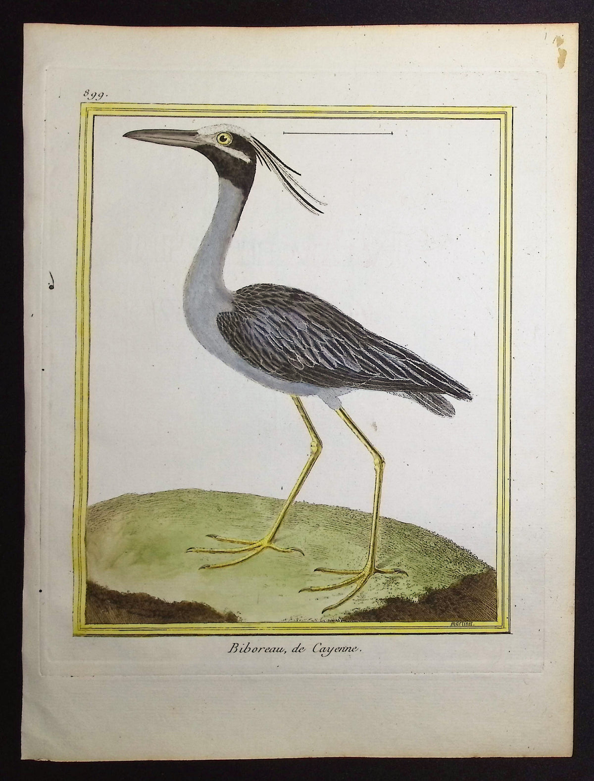 Heron