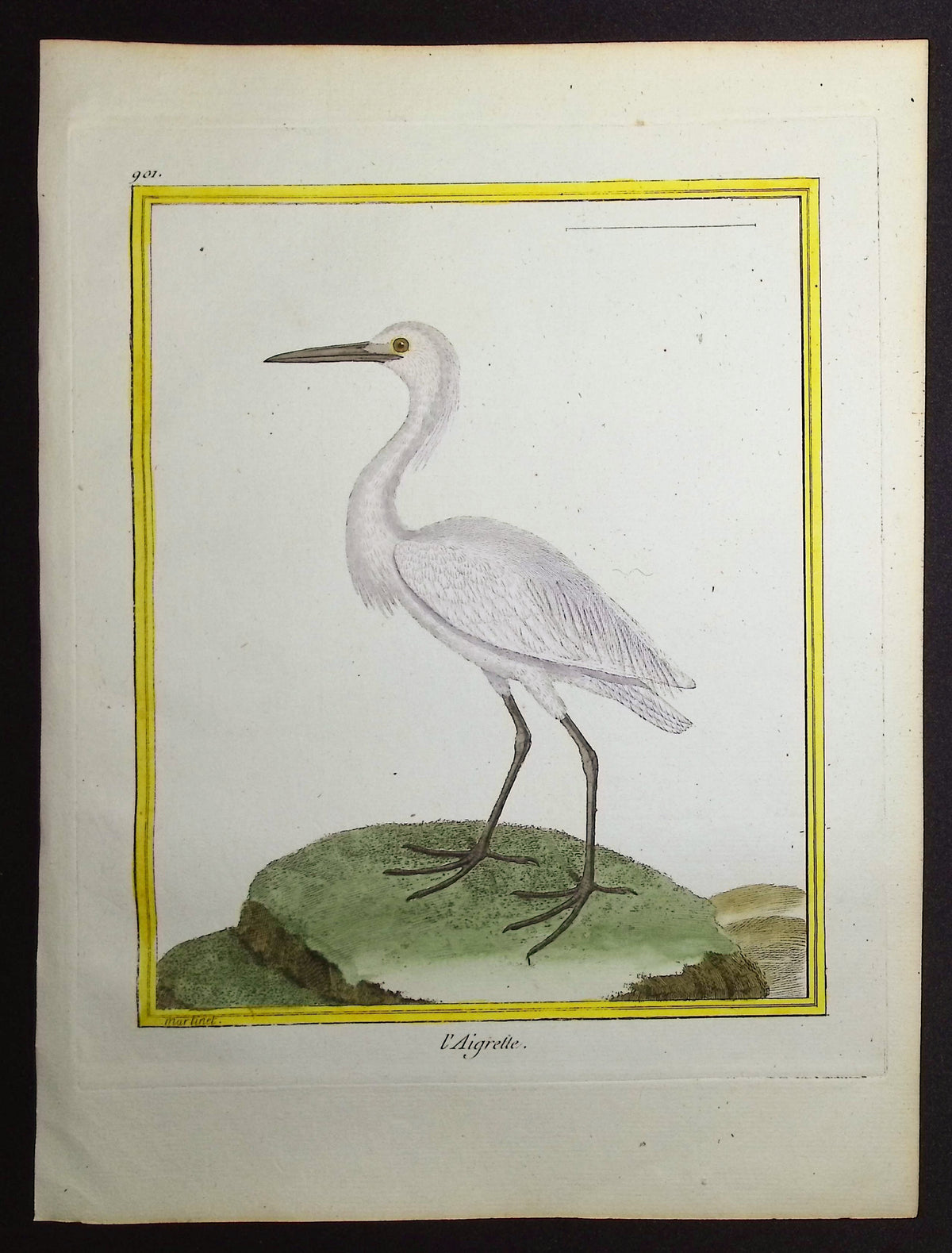 White Egret or Heron
