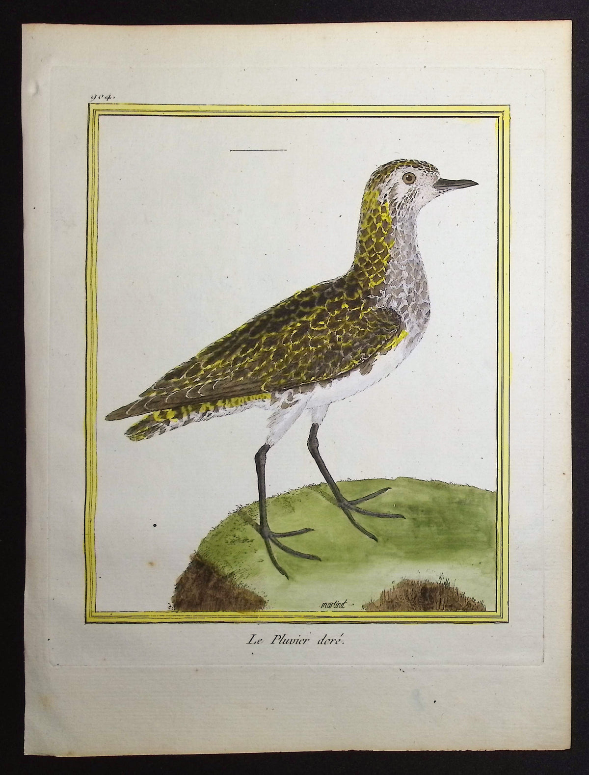 Plover