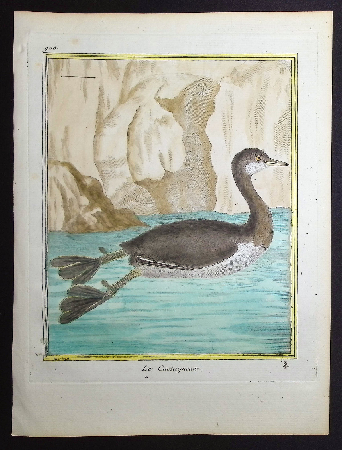Grebe