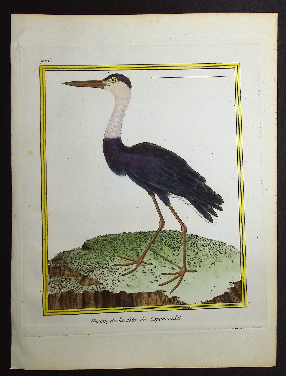 Heron