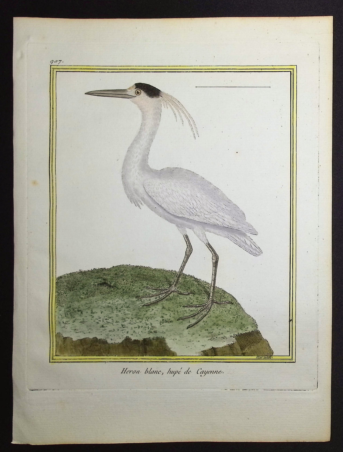 Heron