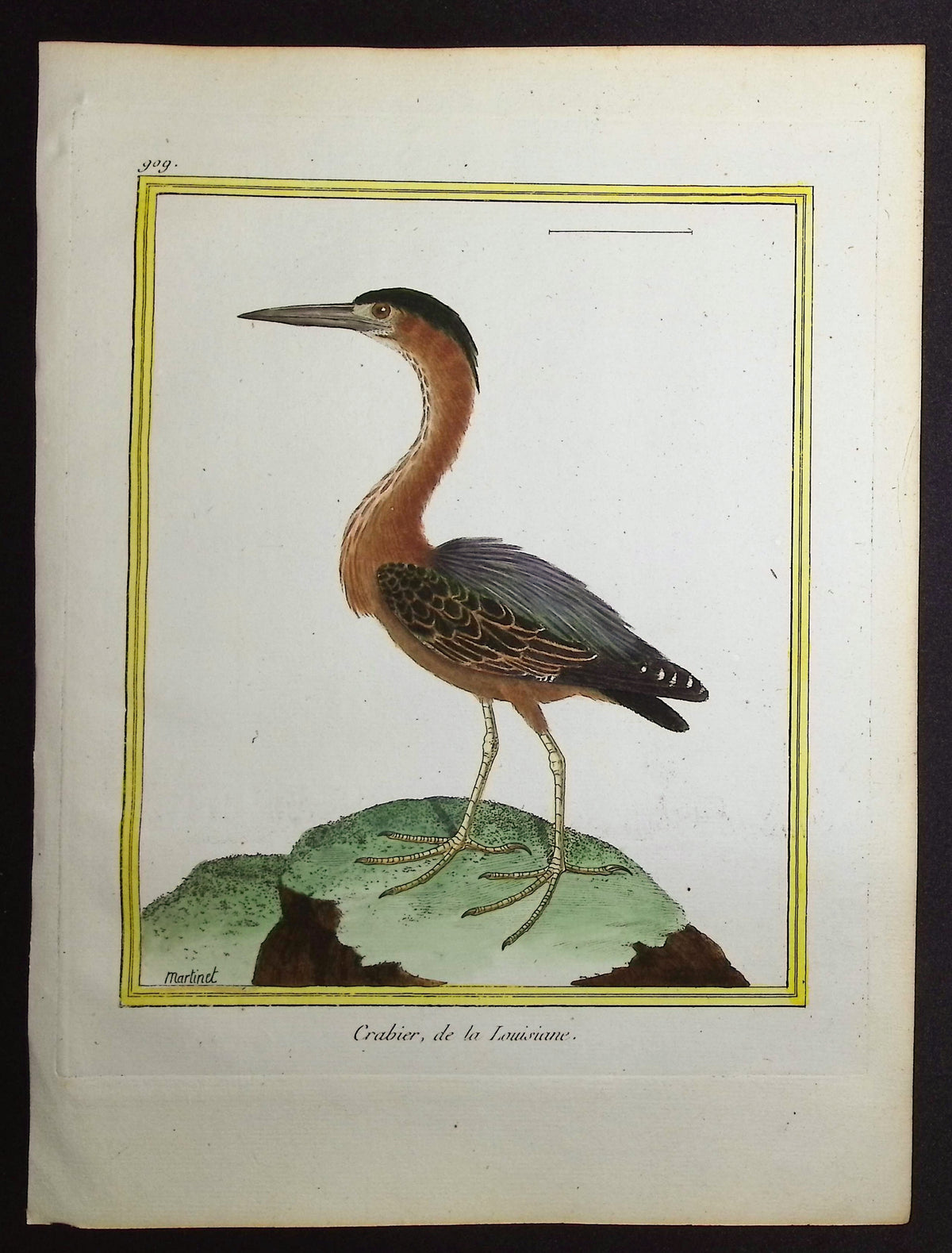 Pond Heron