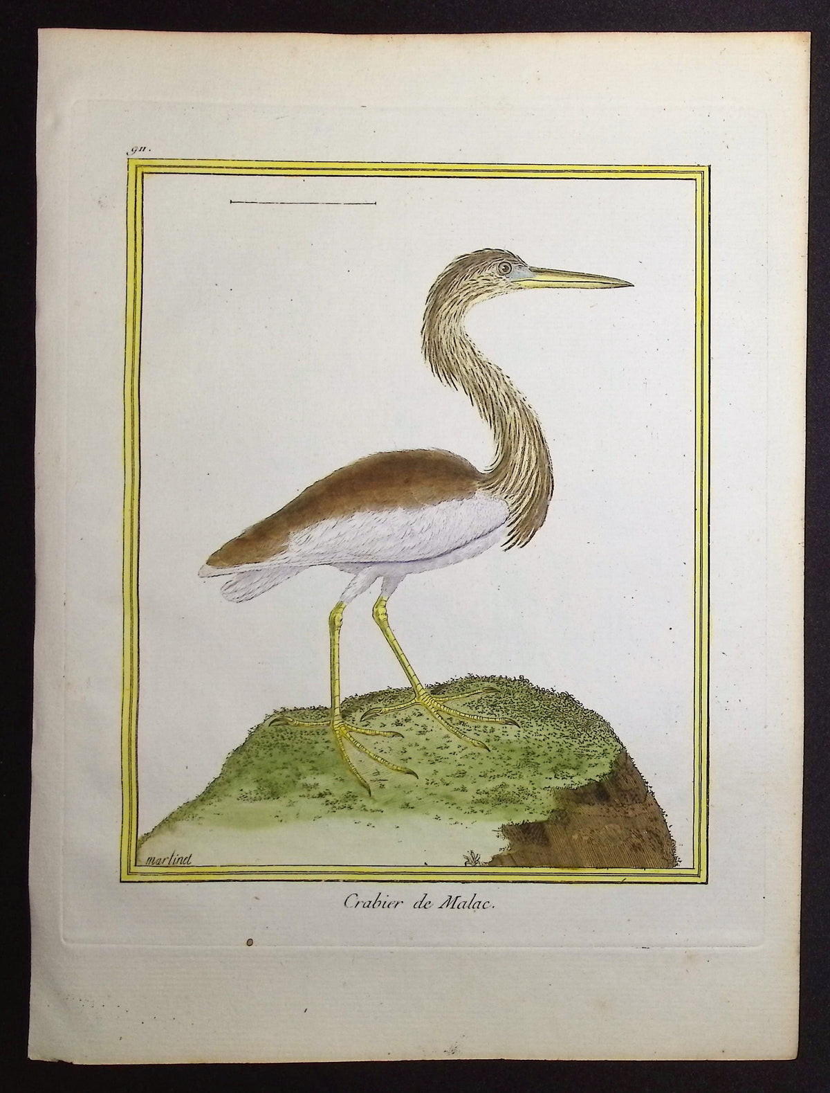 Pond Heron