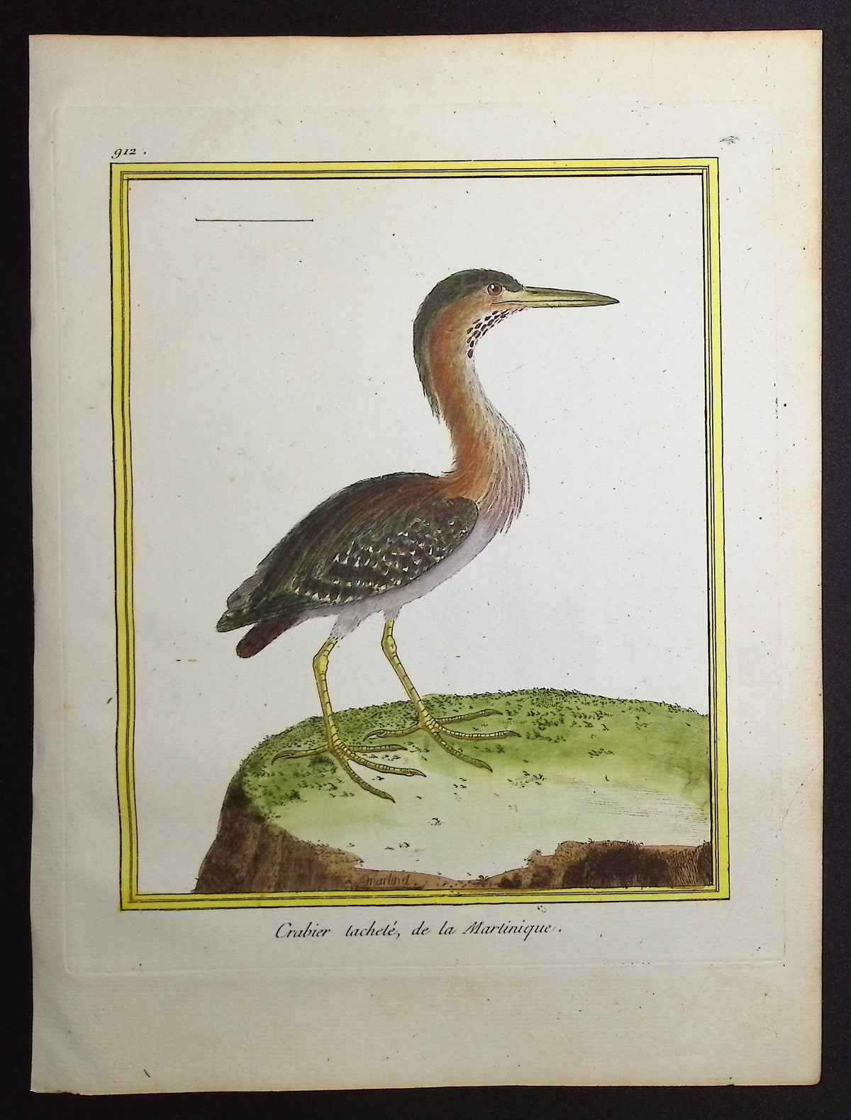 Pond Heron