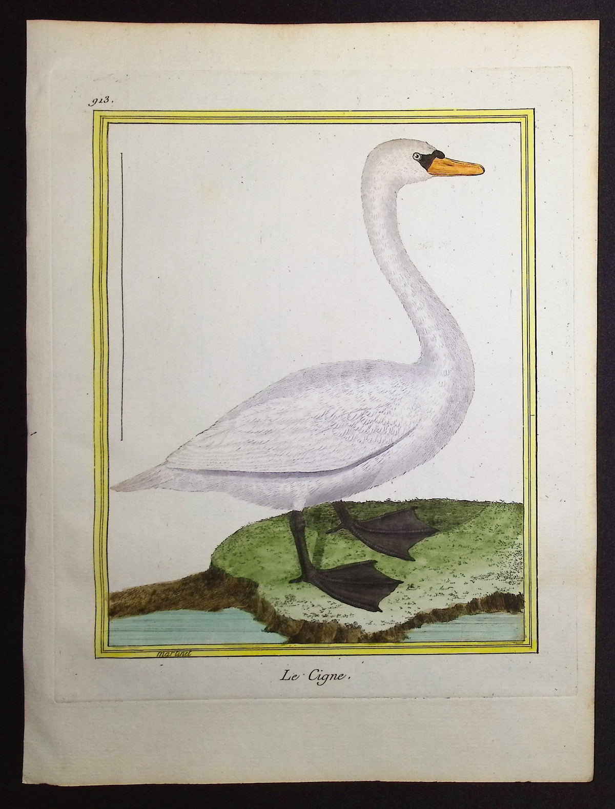 Swan