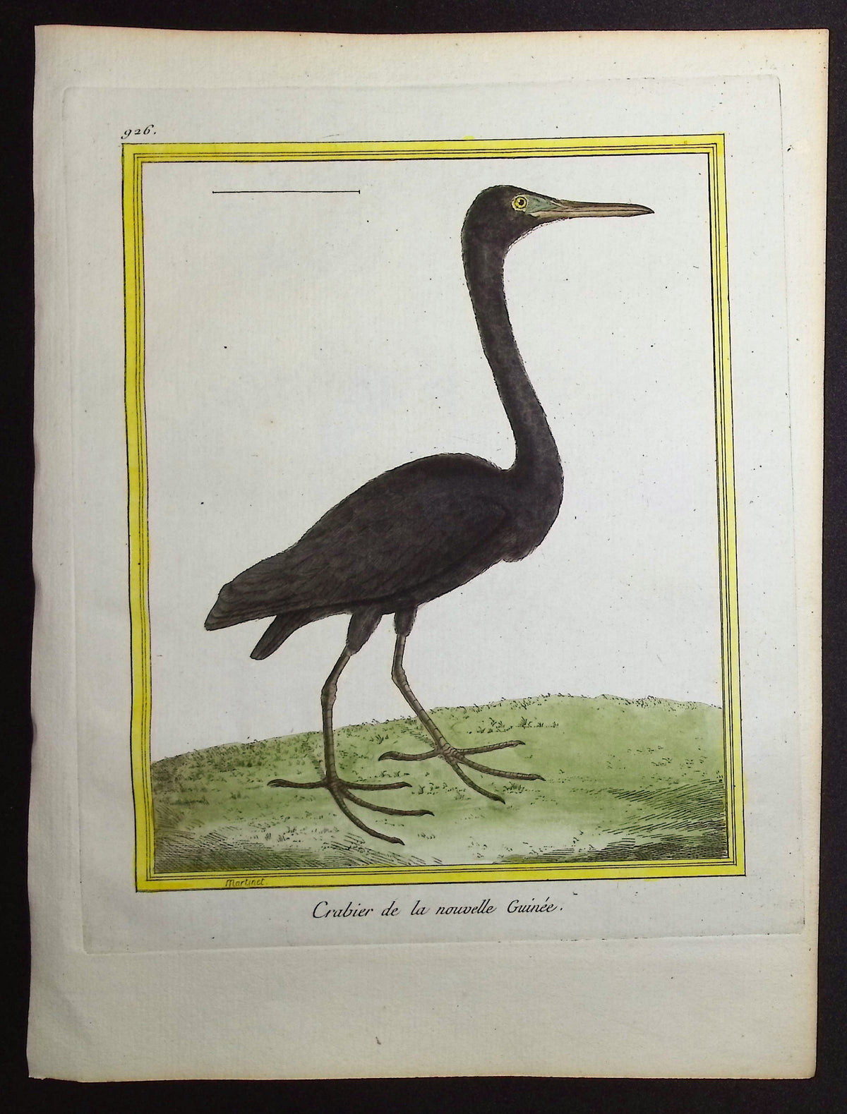 Pond Heron