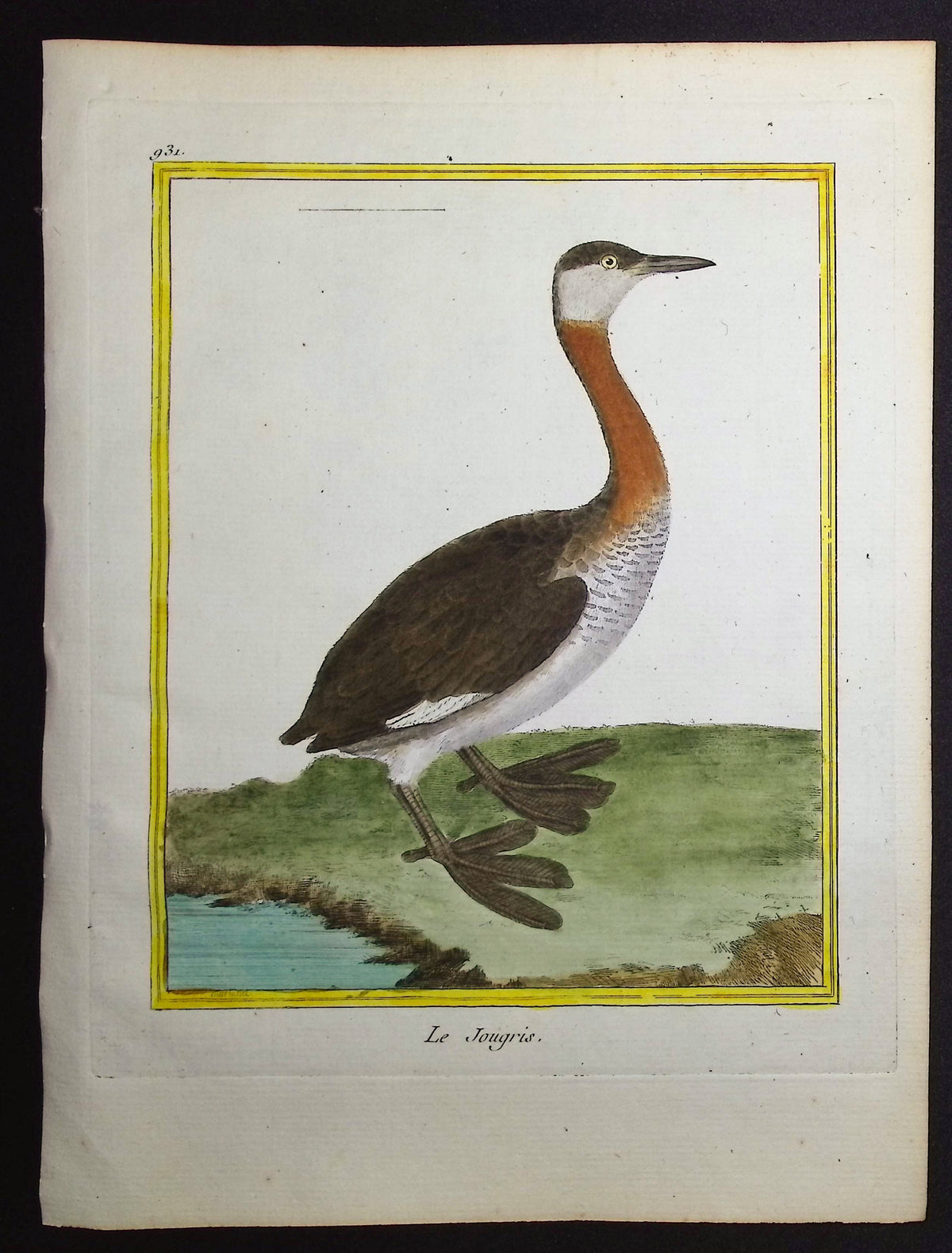 Grebe