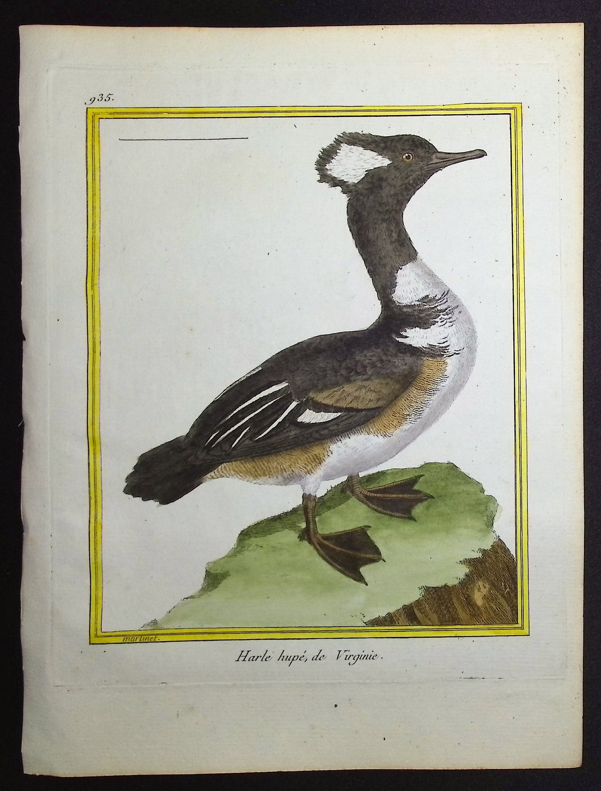 Merganser