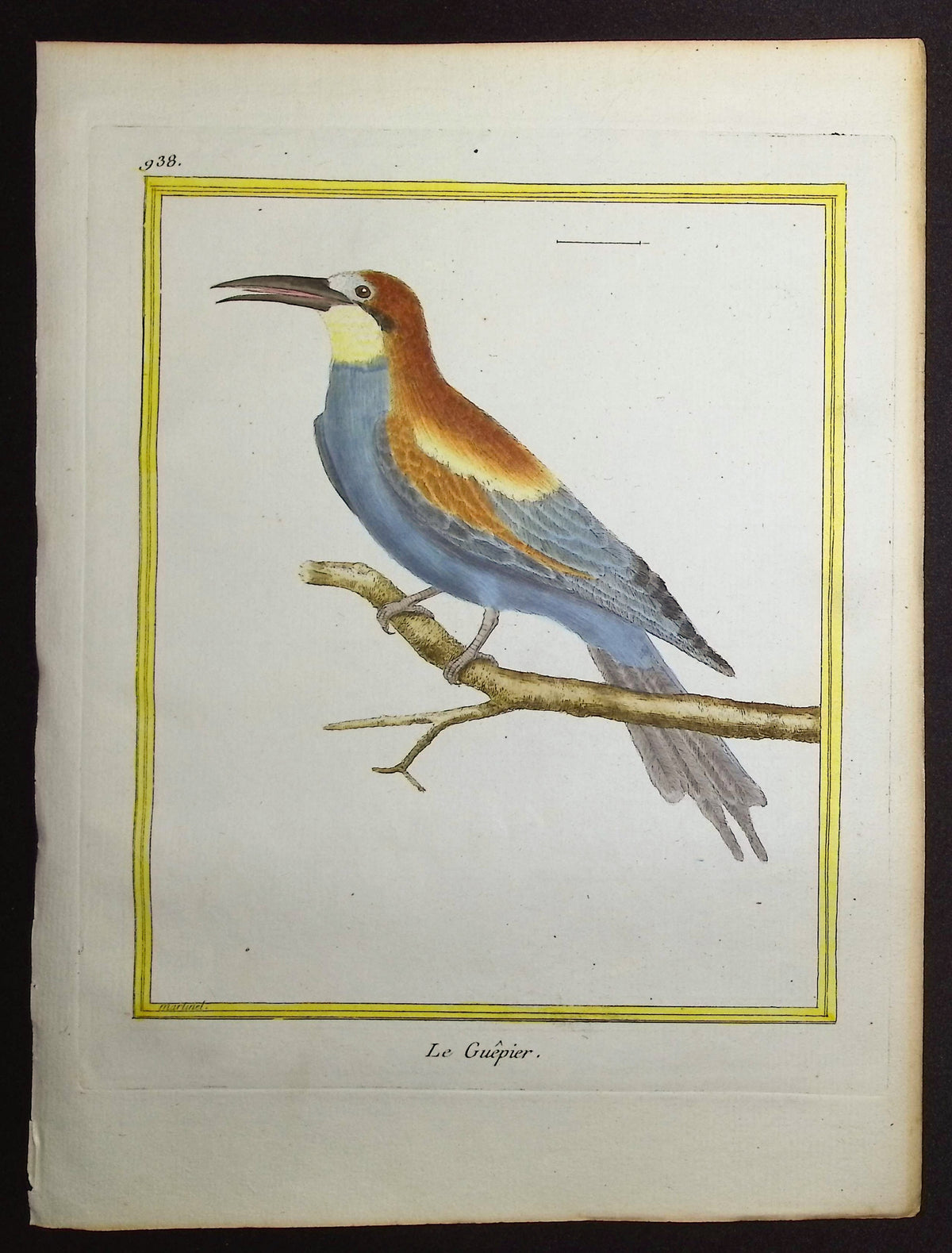 Bee-eater
