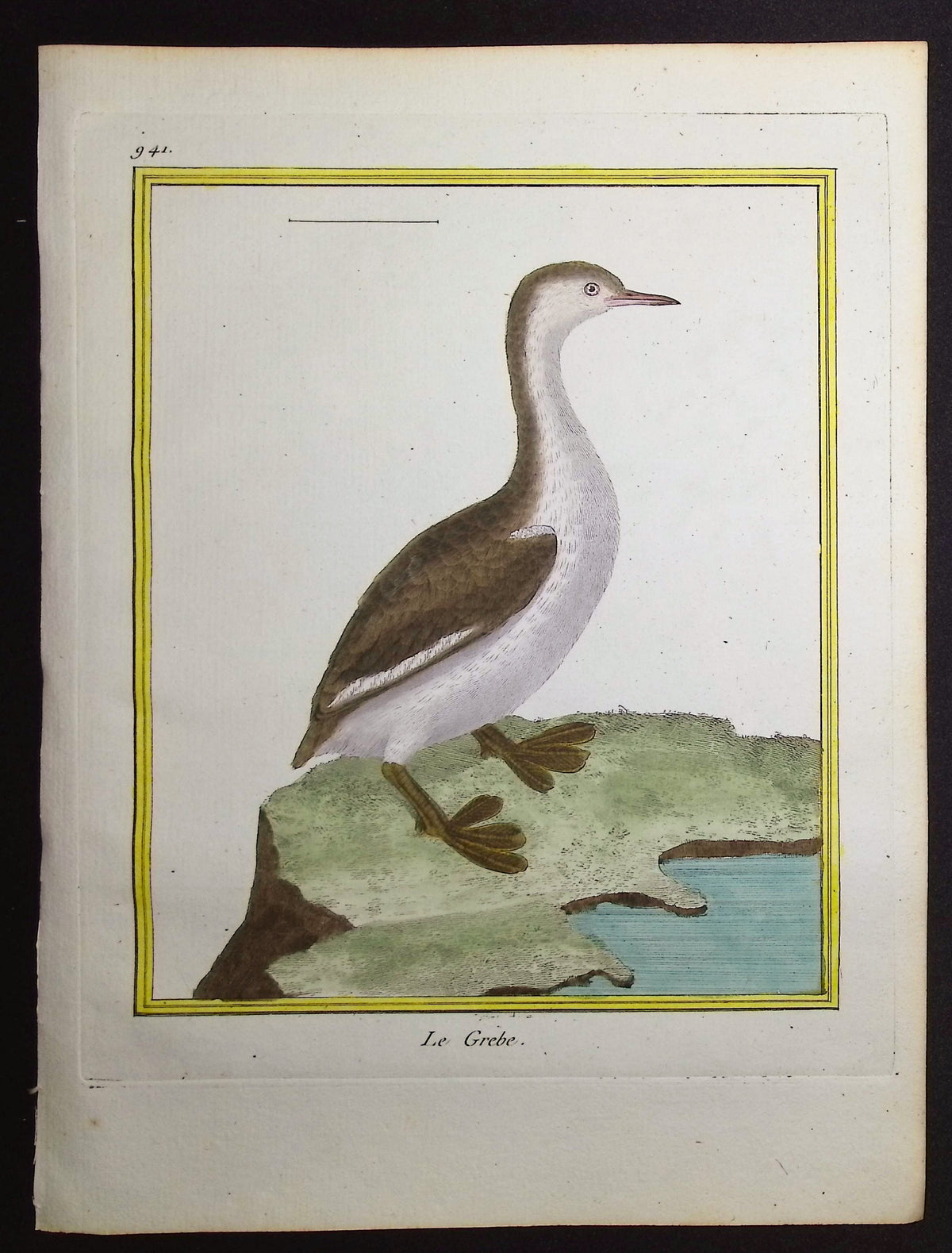 Grebe