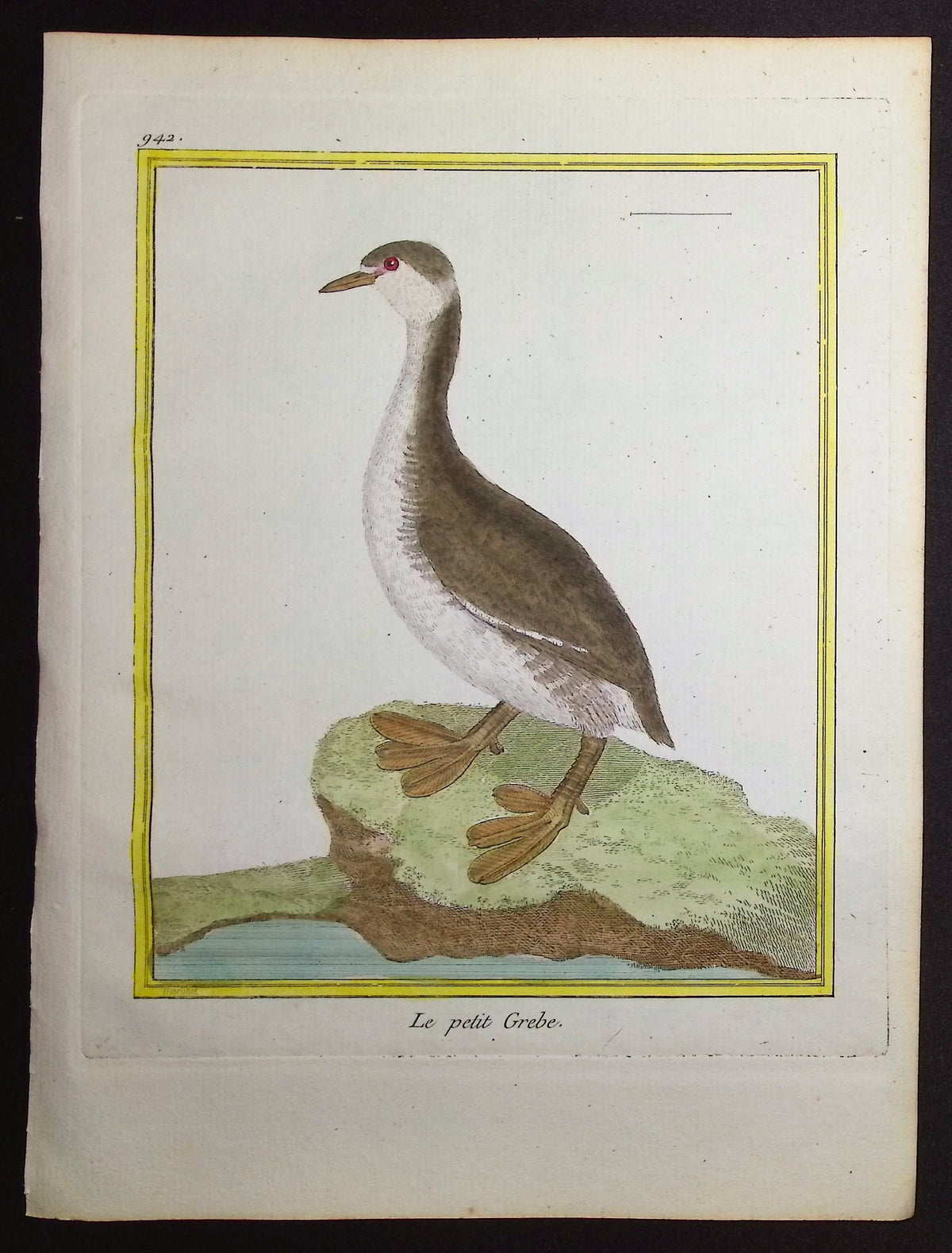 Grebe