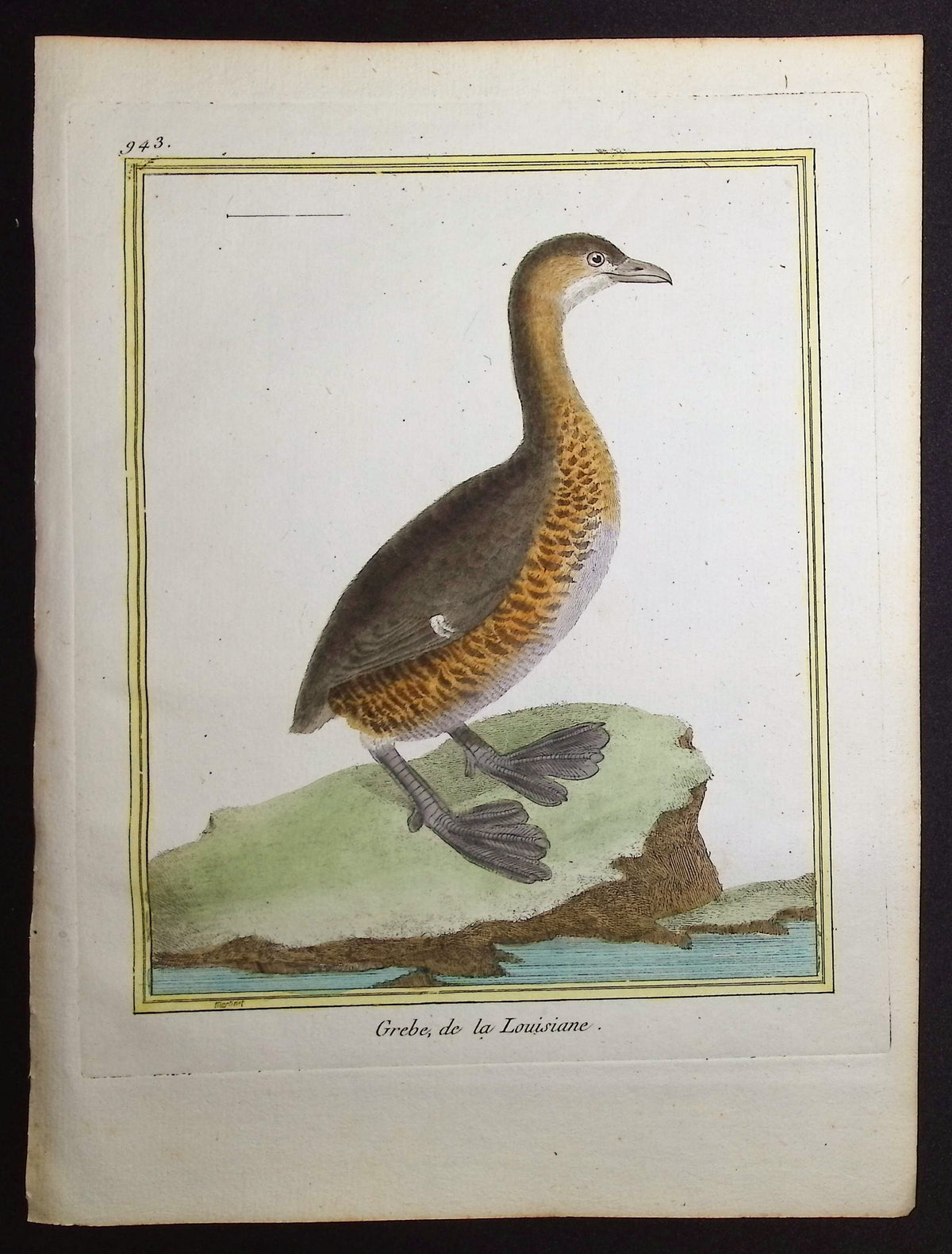 Grebe