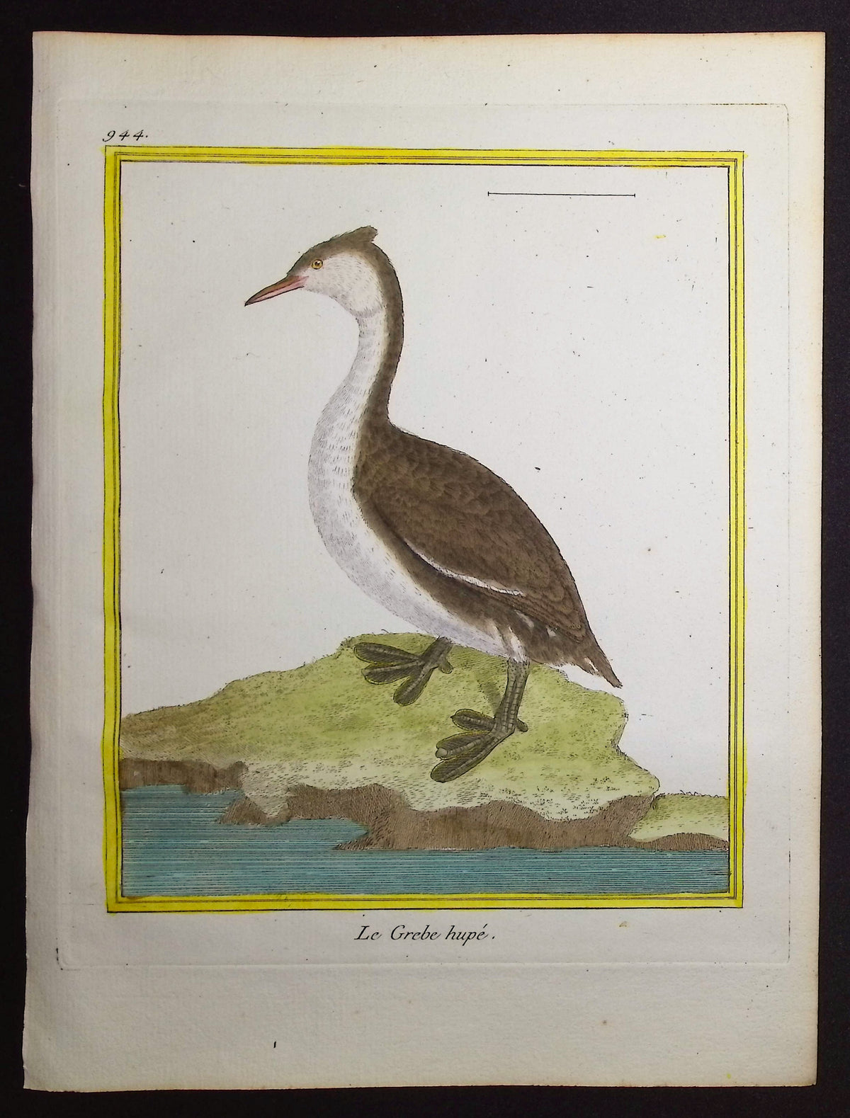 Grebe