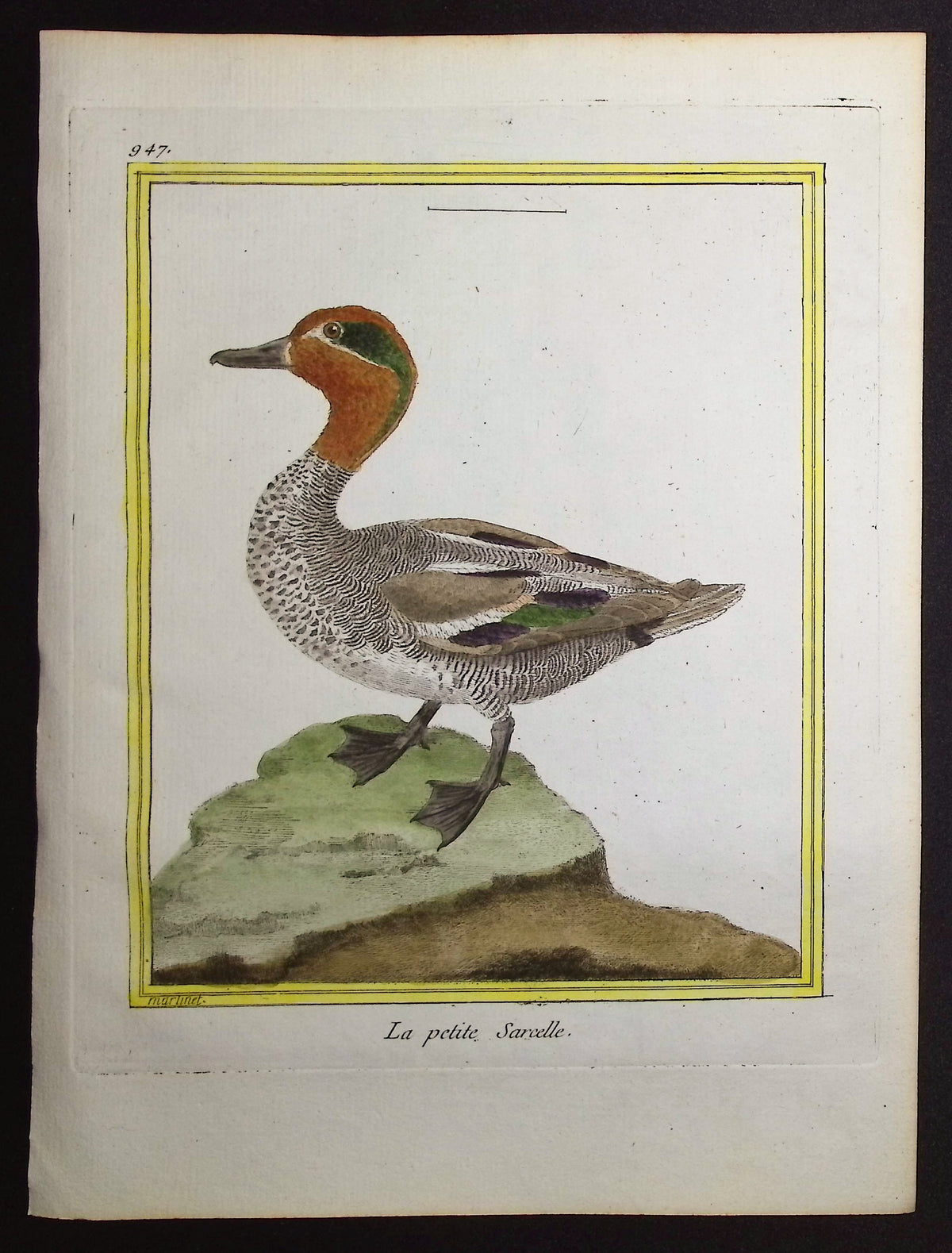 Duck