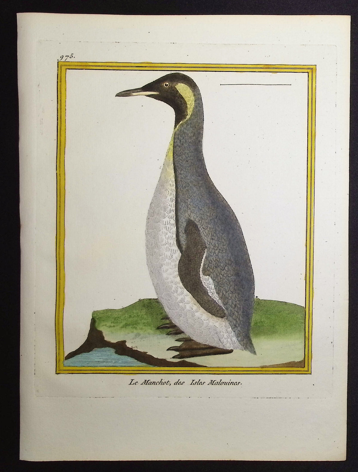 Penguin