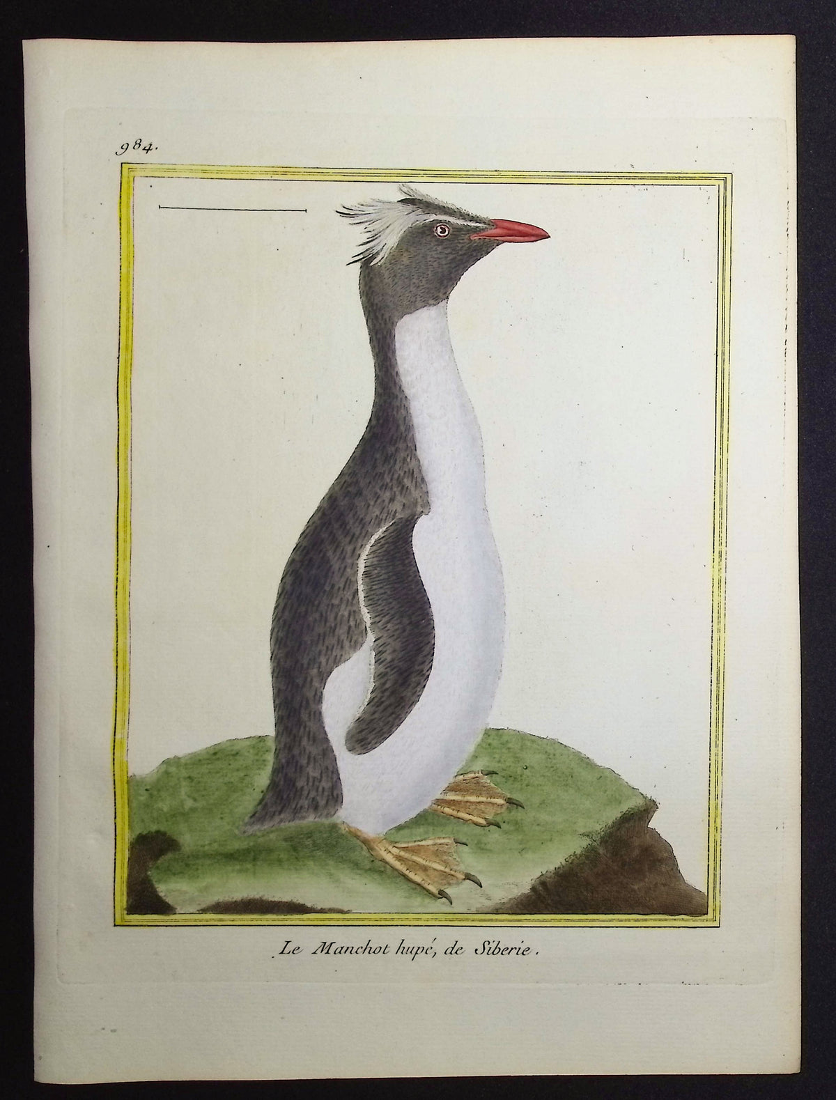 Penguin