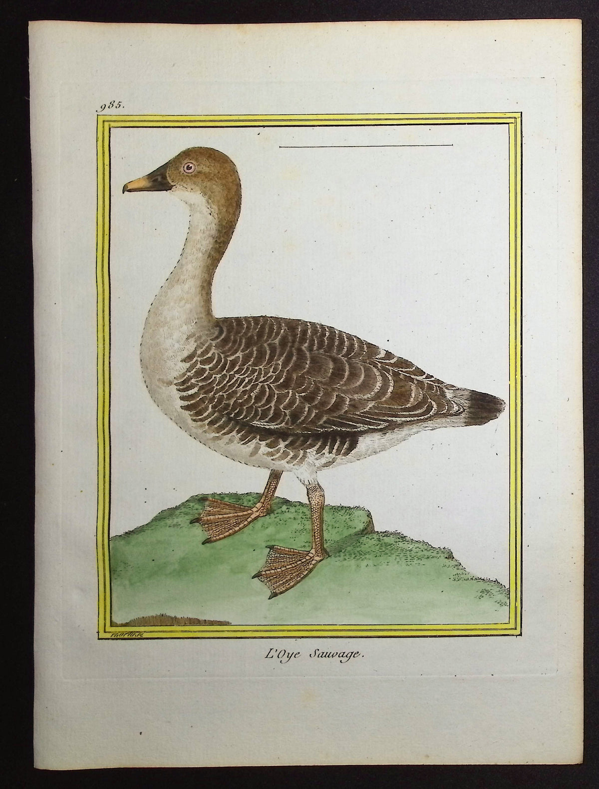 Goose