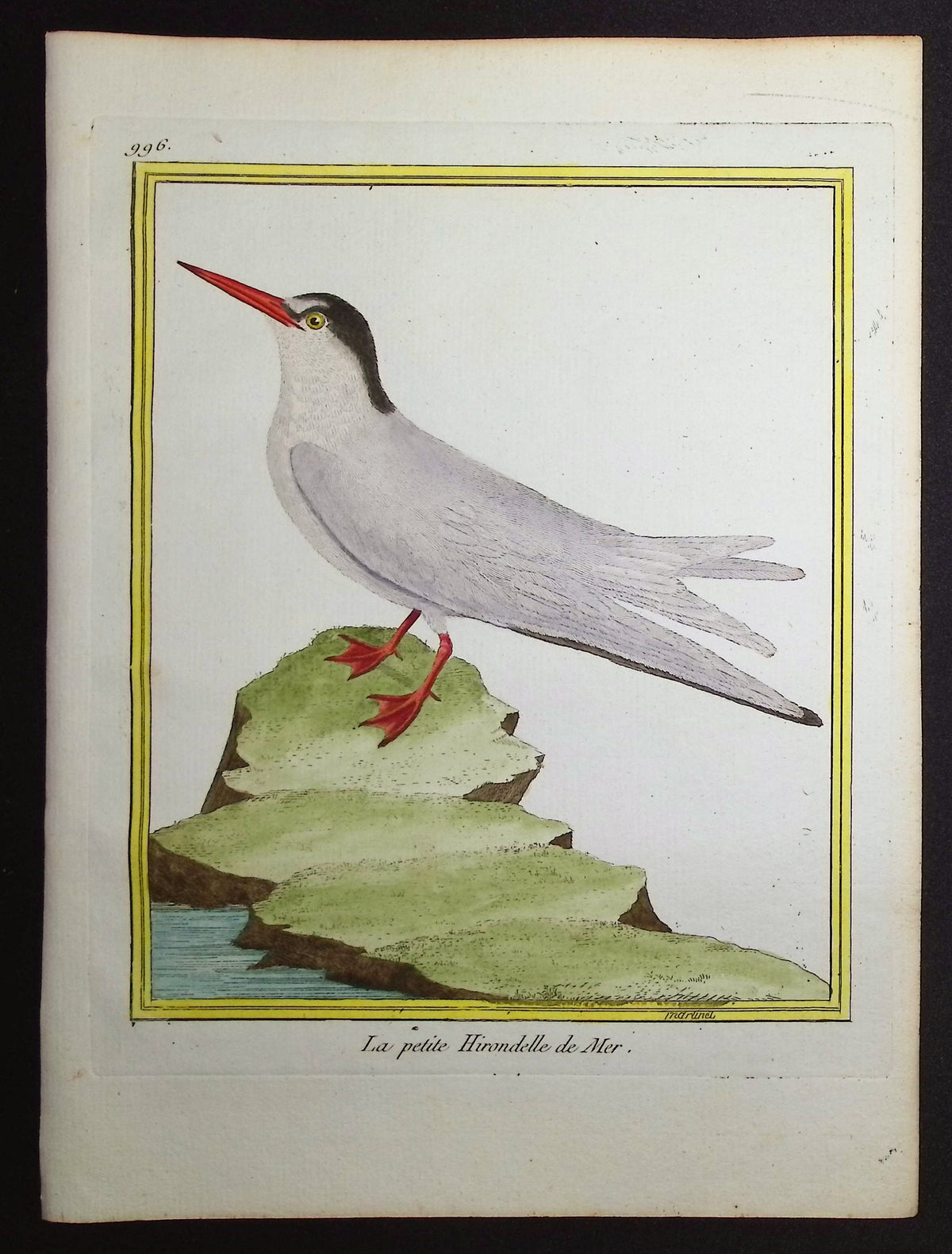 Tern