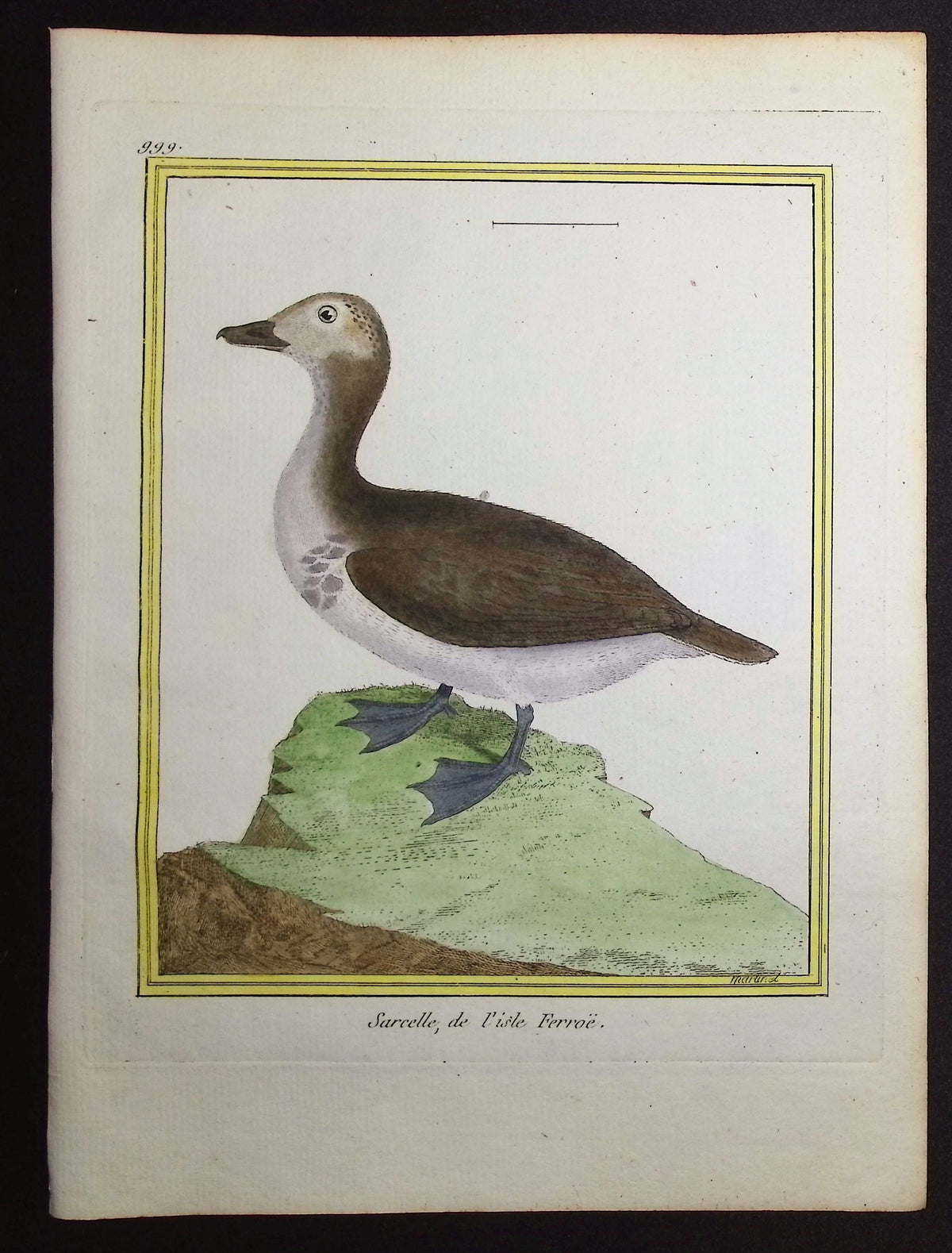 Duck