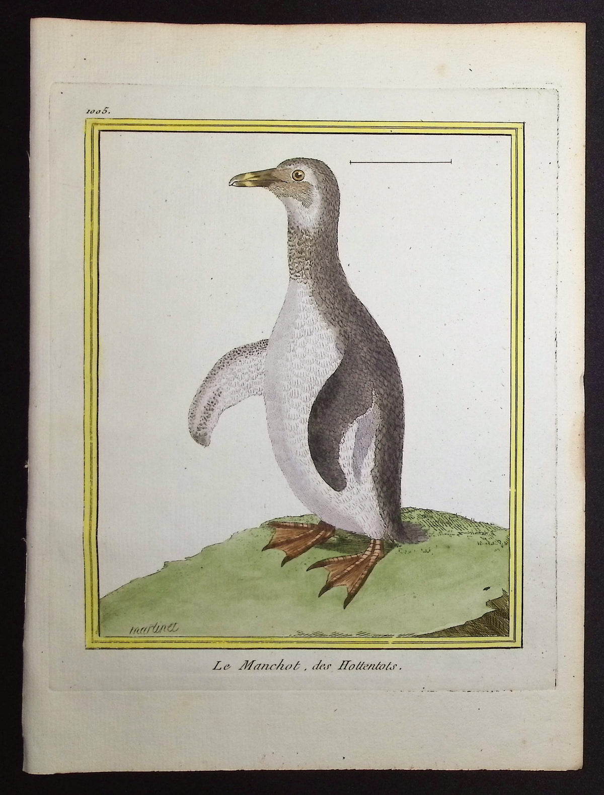 Penguin