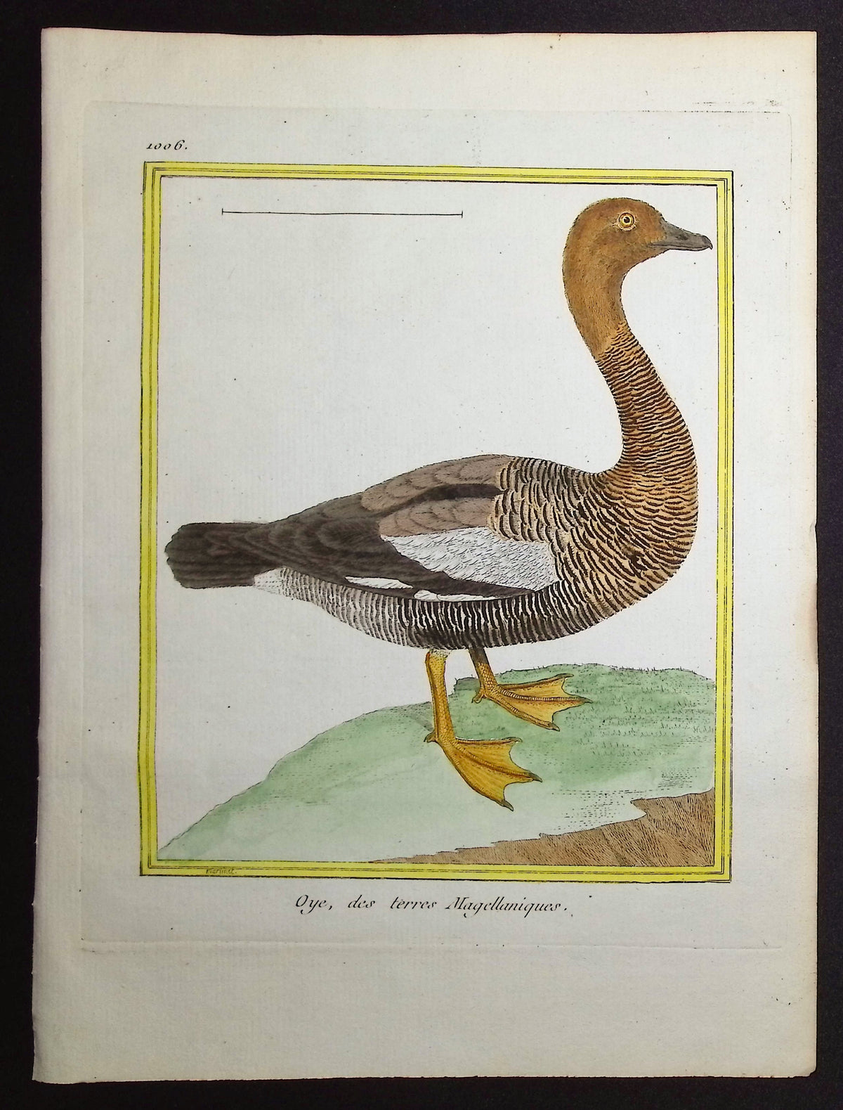 Goose