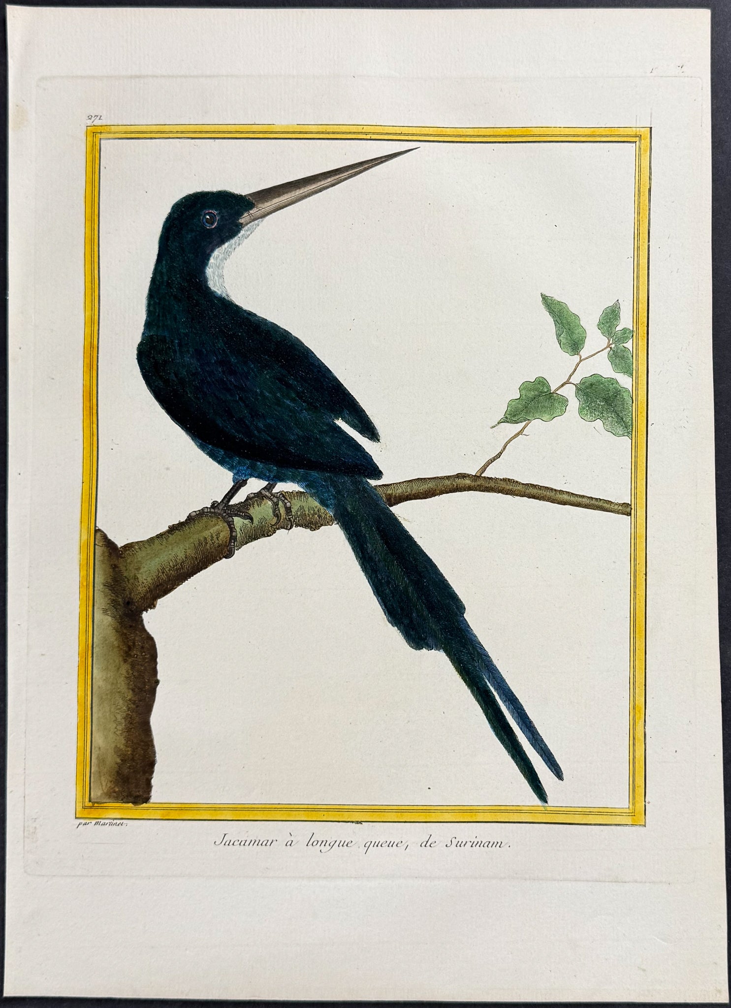 Jacamar