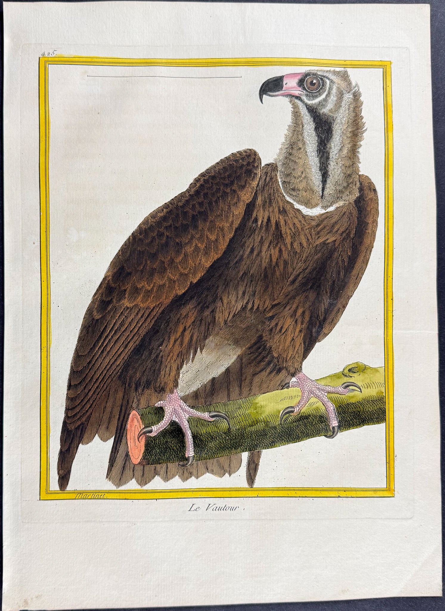 Vulture