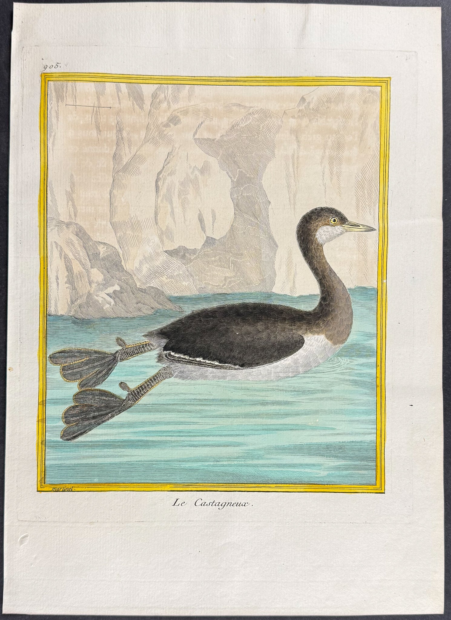 Grebe
