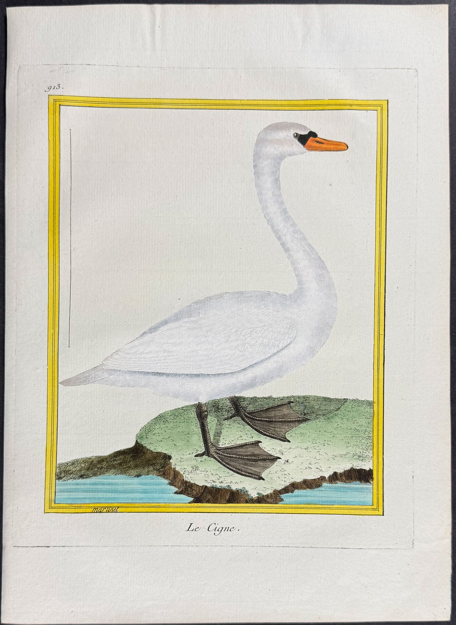 Swan