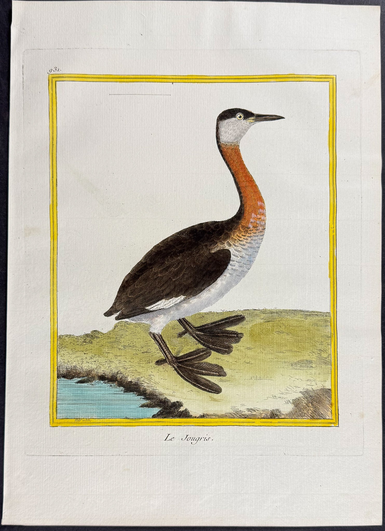 Grebe