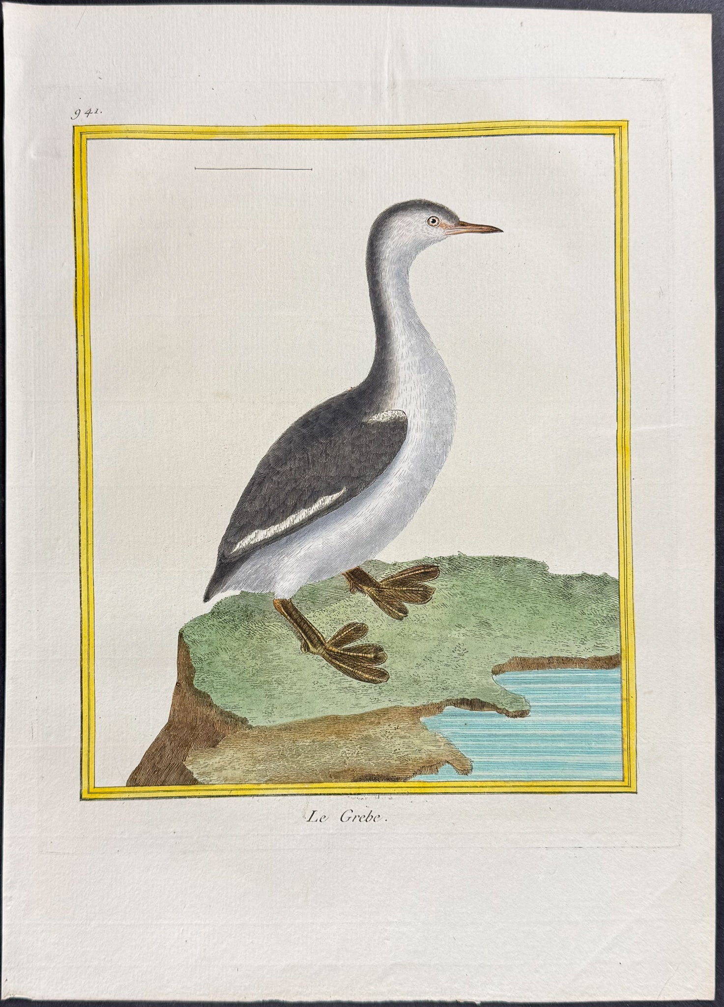 Grebe