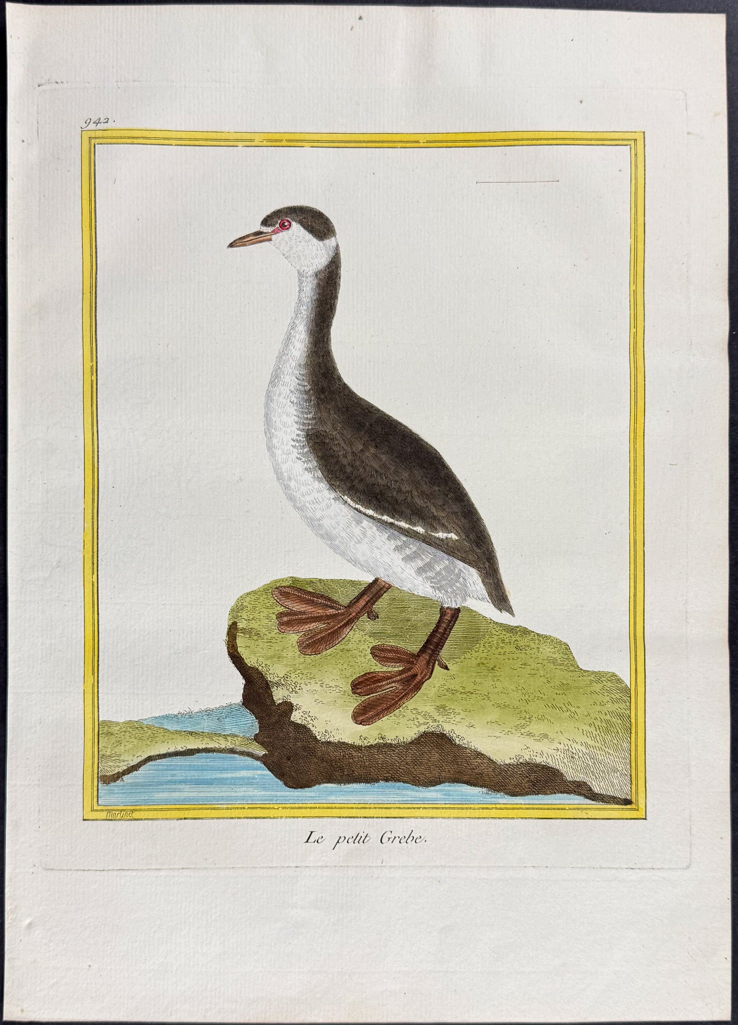 Grebe