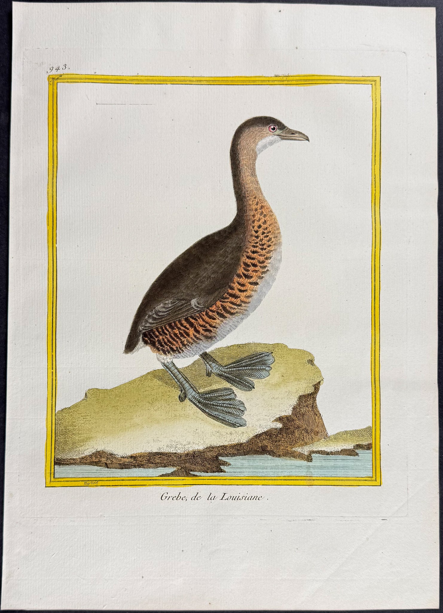 Grebe