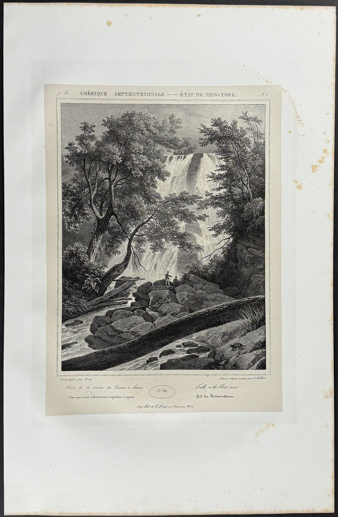 Falls on the Flint River