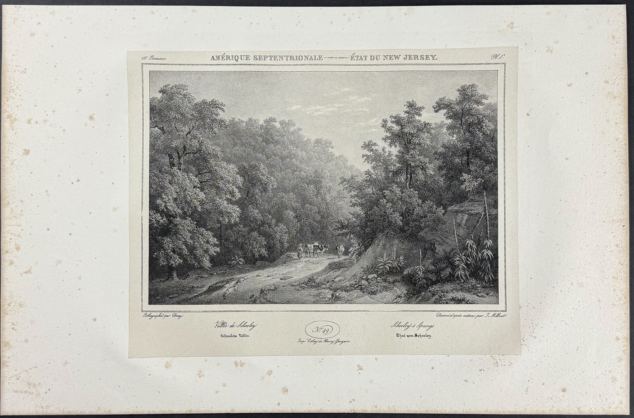 Schooley's Springs