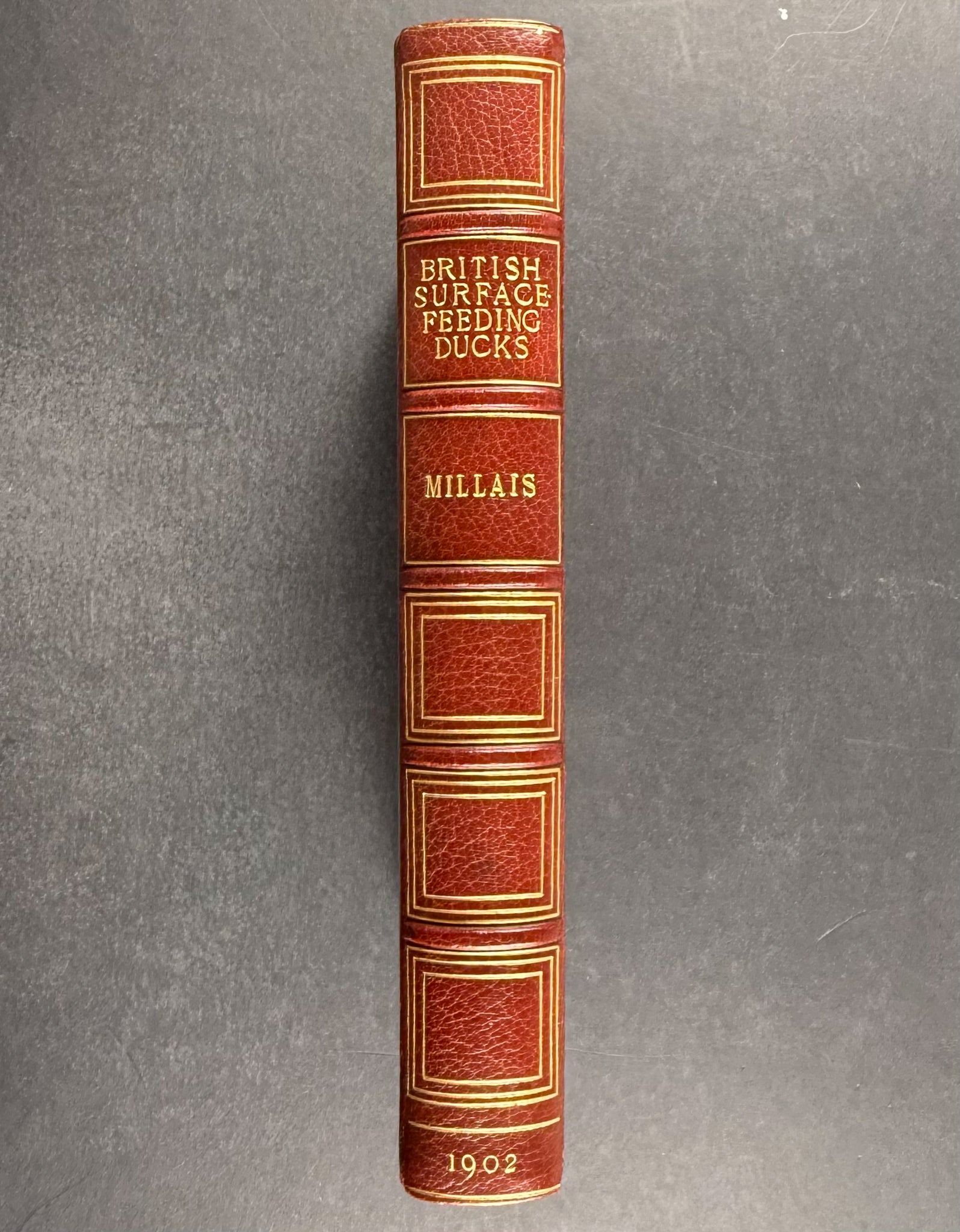 Millais's ..British.. Ducks - Volume with 41 Color Bird Plates, 6 Photogravures, & 25 Monochrome Plates