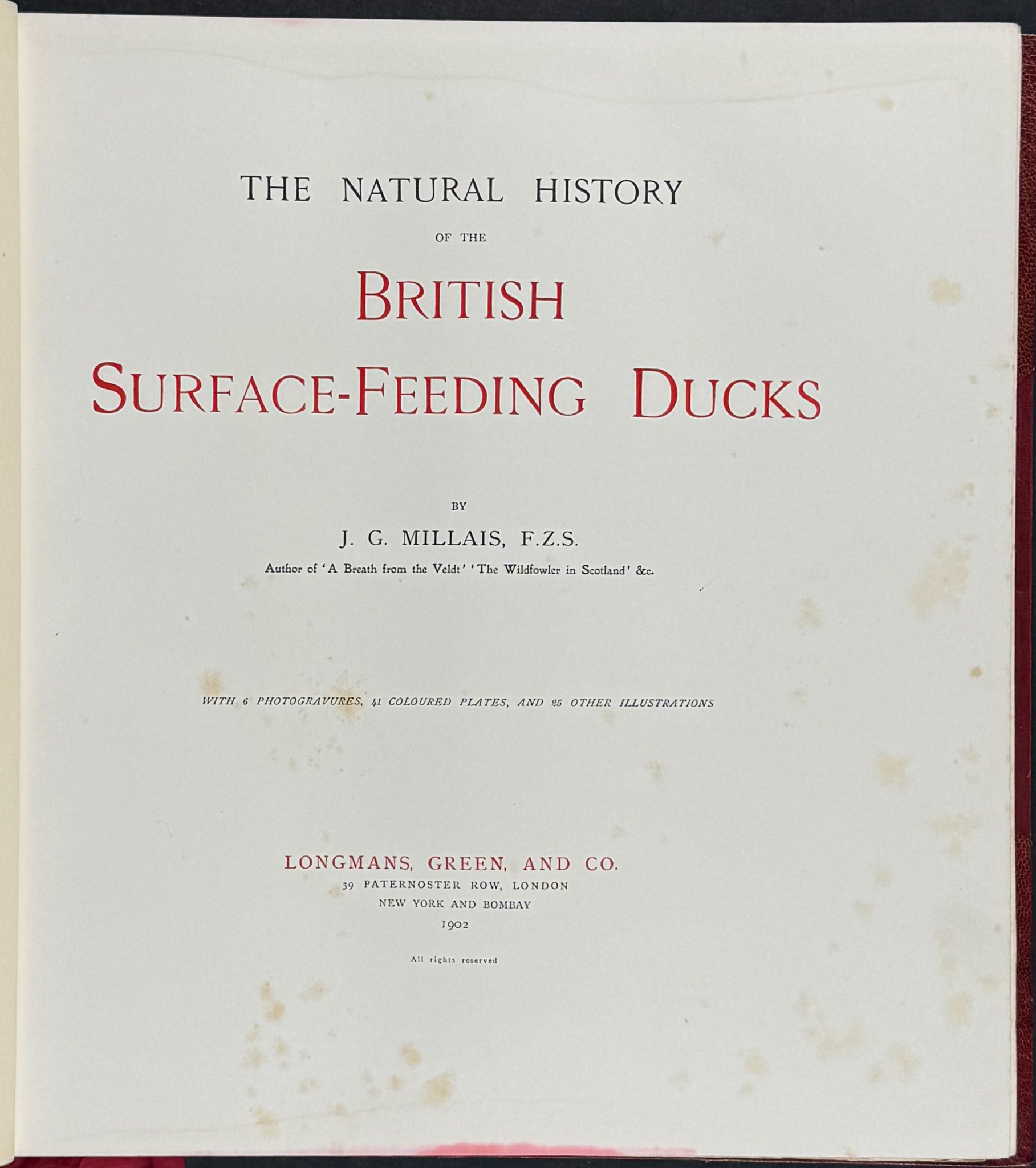 Millais's ..British.. Ducks - Volume with 41 Color Bird Plates, 6 Photogravures, & 25 Monochrome Plates