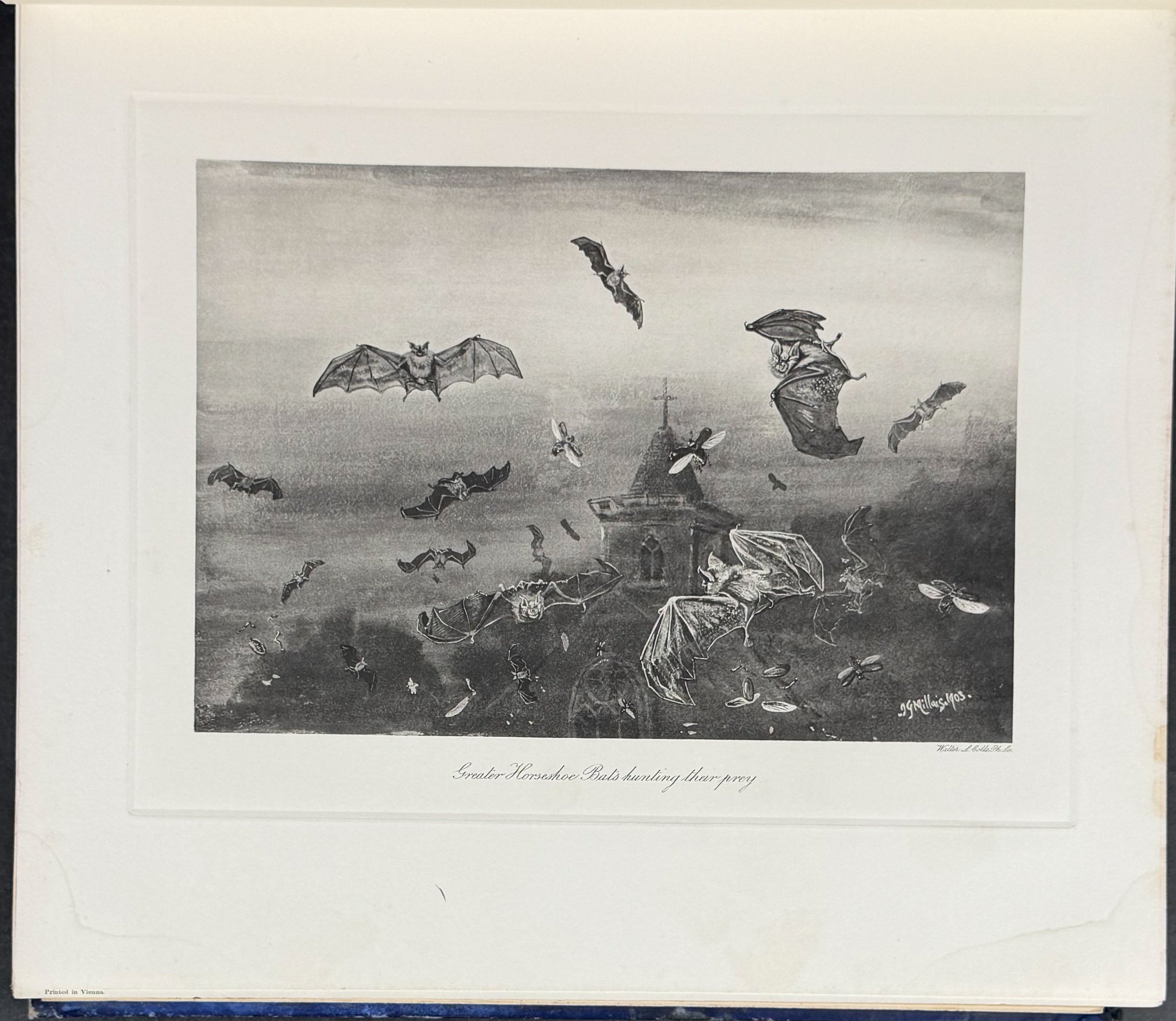 Millais' The Mammals of Great Britain and Ireland - Three Volumes with 273 Plates
