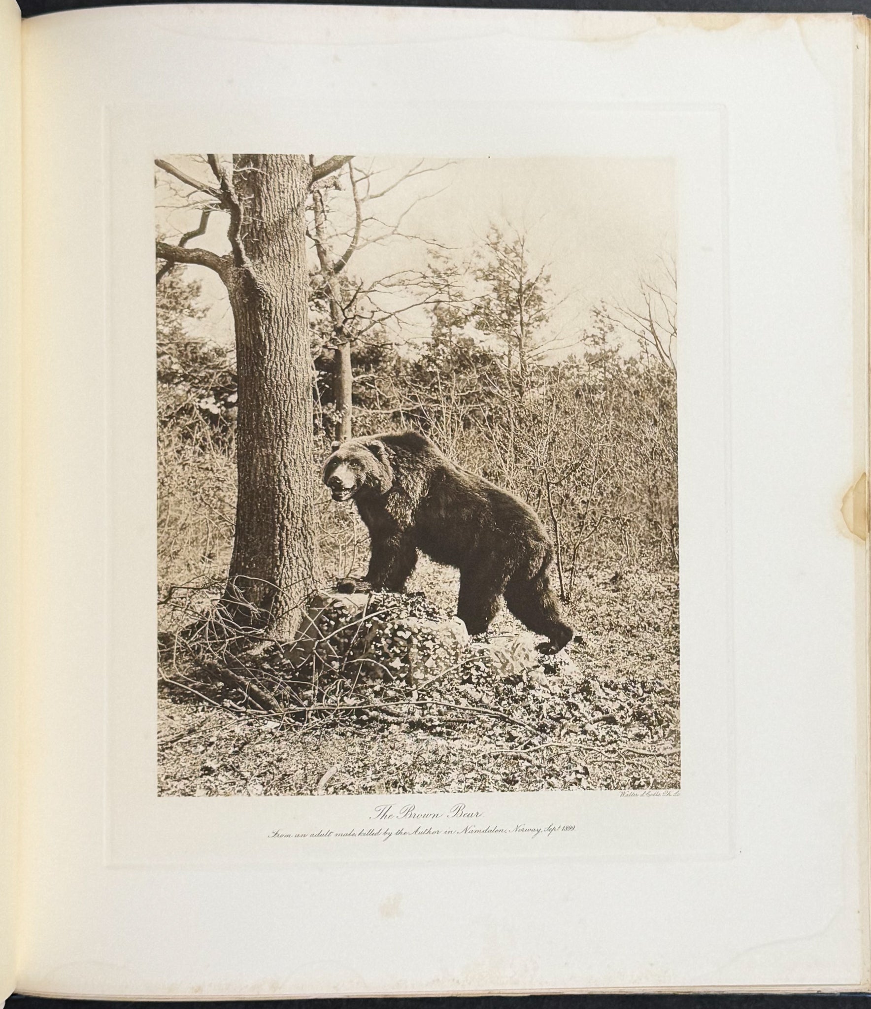 Millais' The Mammals of Great Britain and Ireland - Three Volumes with 273 Plates